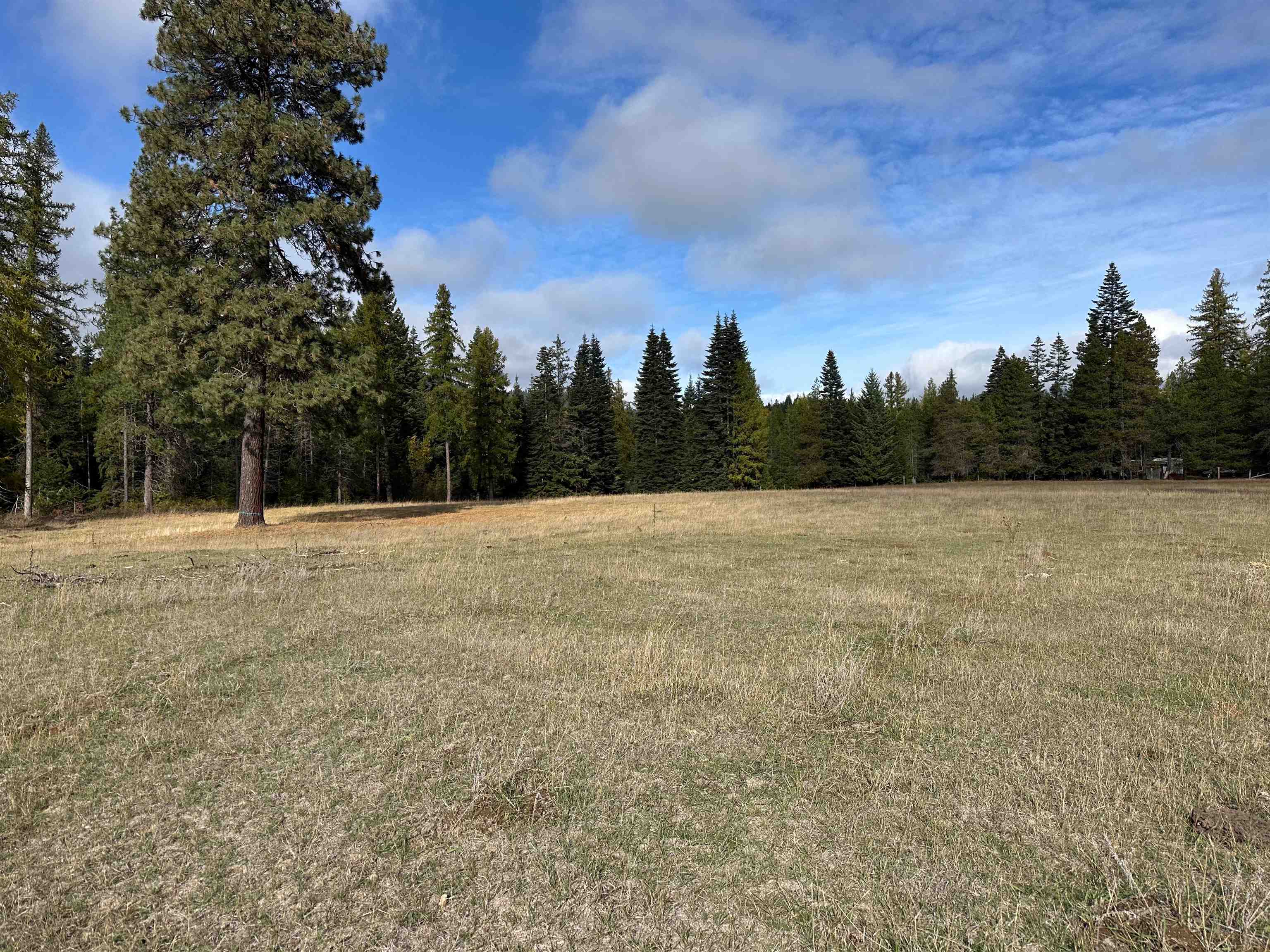 320871 Highway 2 - Photo 31