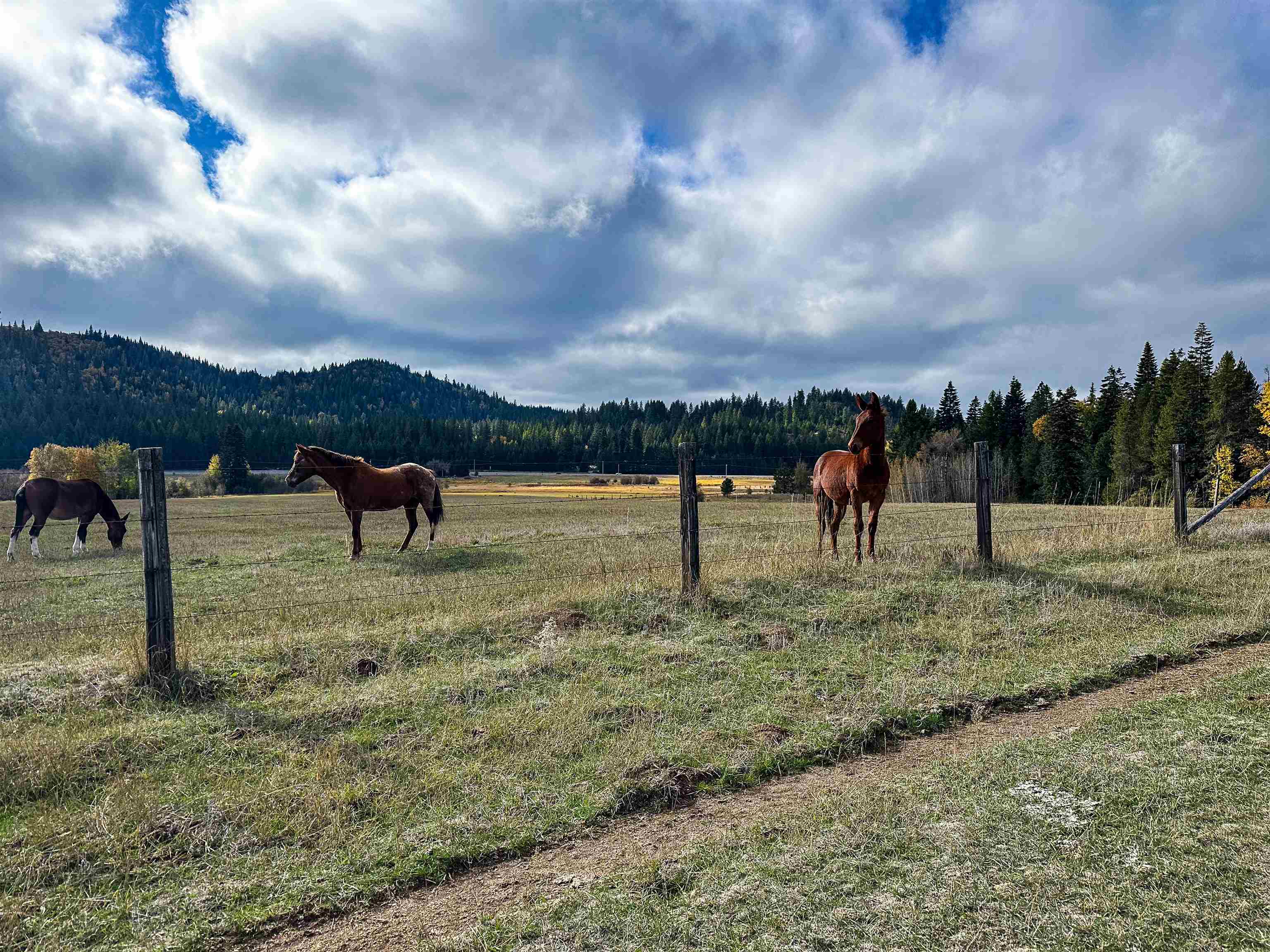 320871 Highway 2 - Photo 32