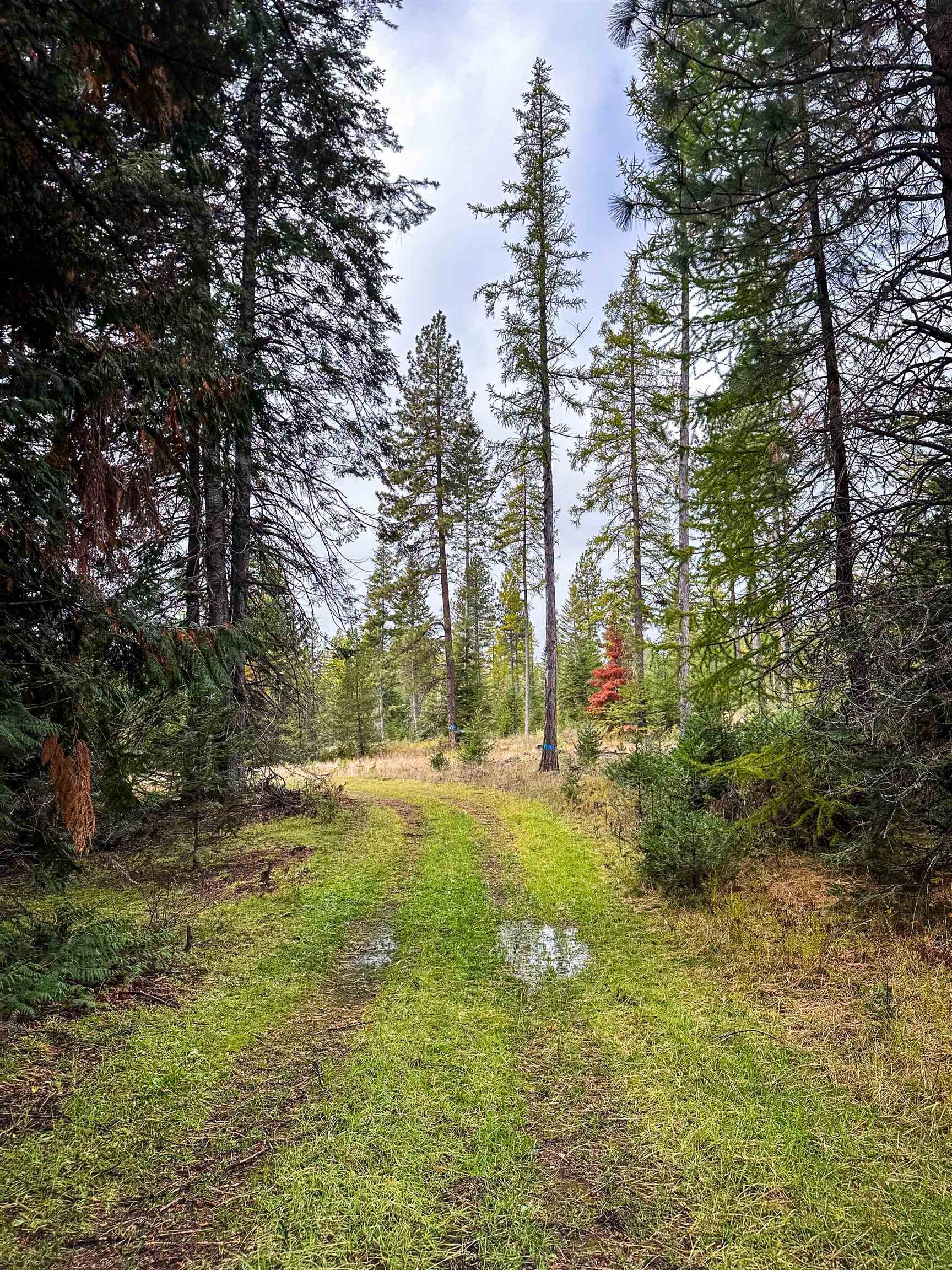 320871 Highway 2 - Photo 33