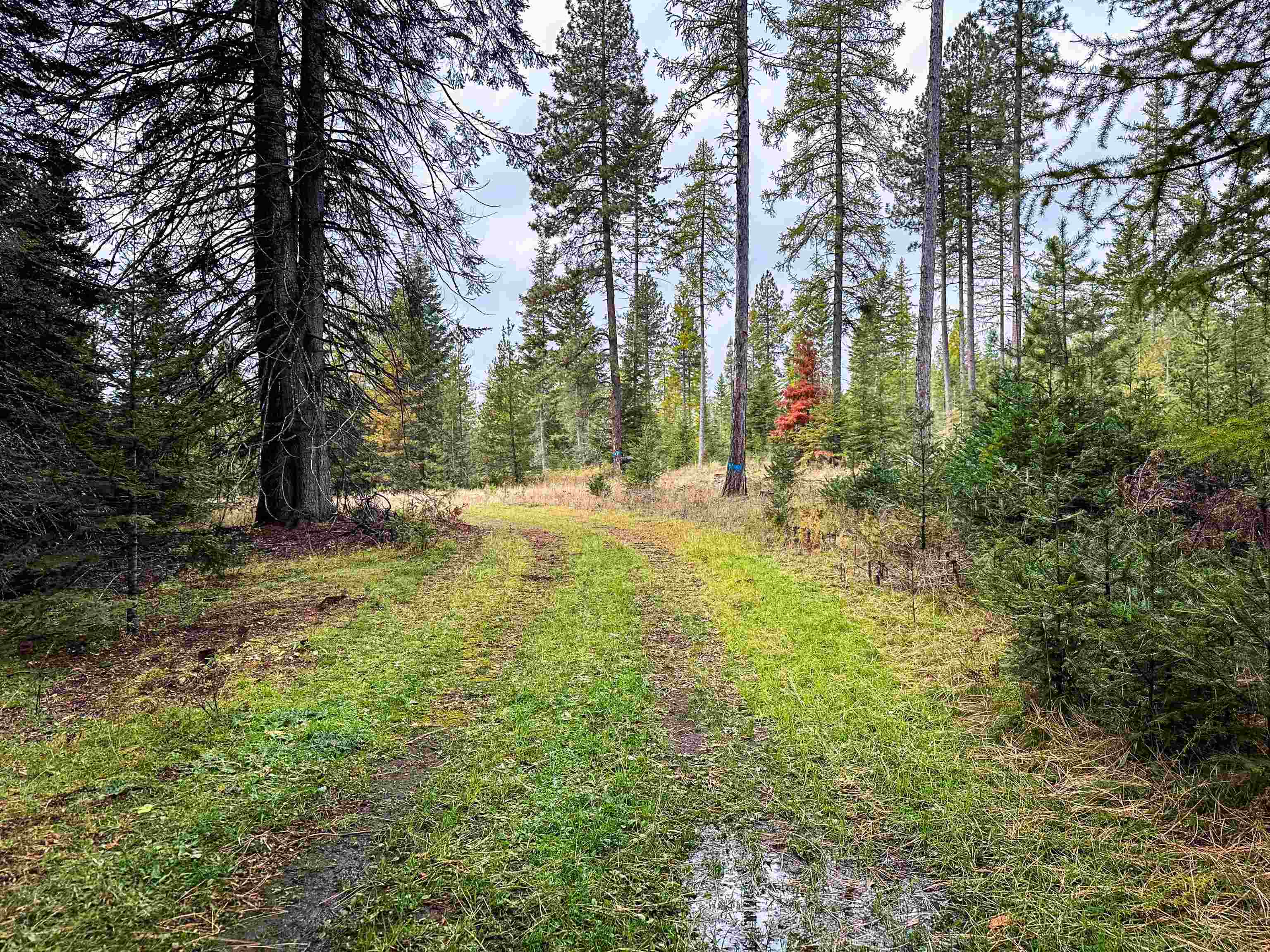 320871 Highway 2 - Photo 34