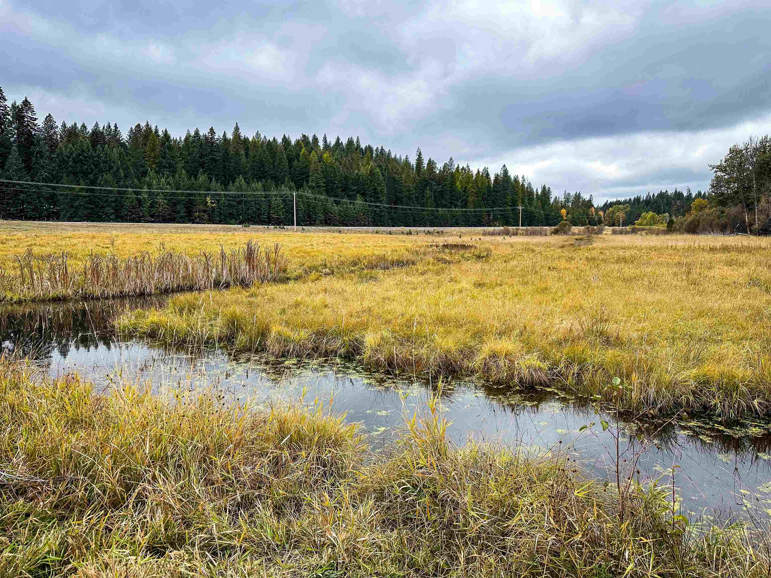 320871 Highway 2 - Photo 38