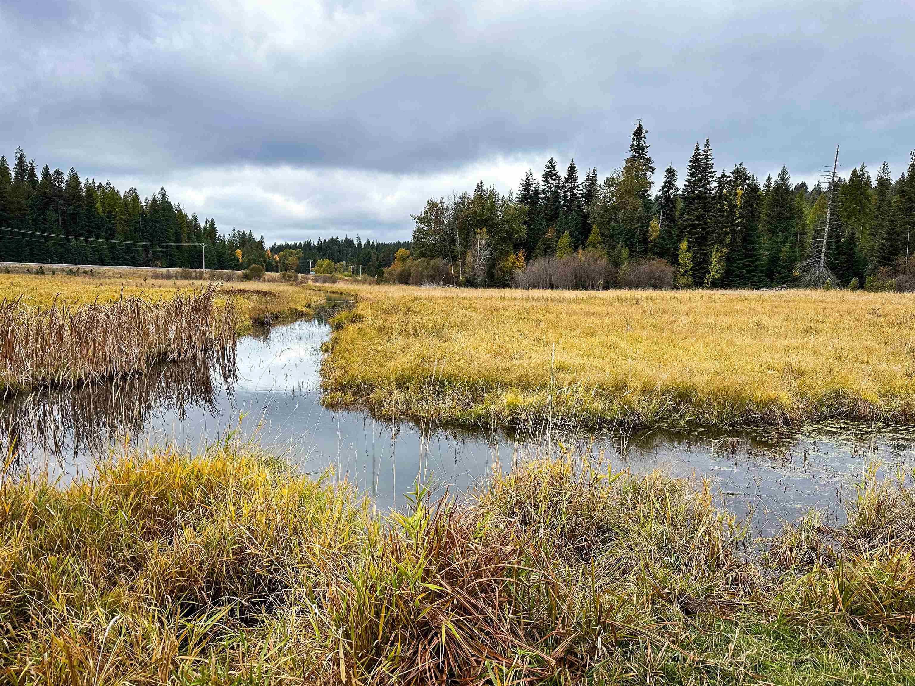 320871 Highway 2 - Photo 39