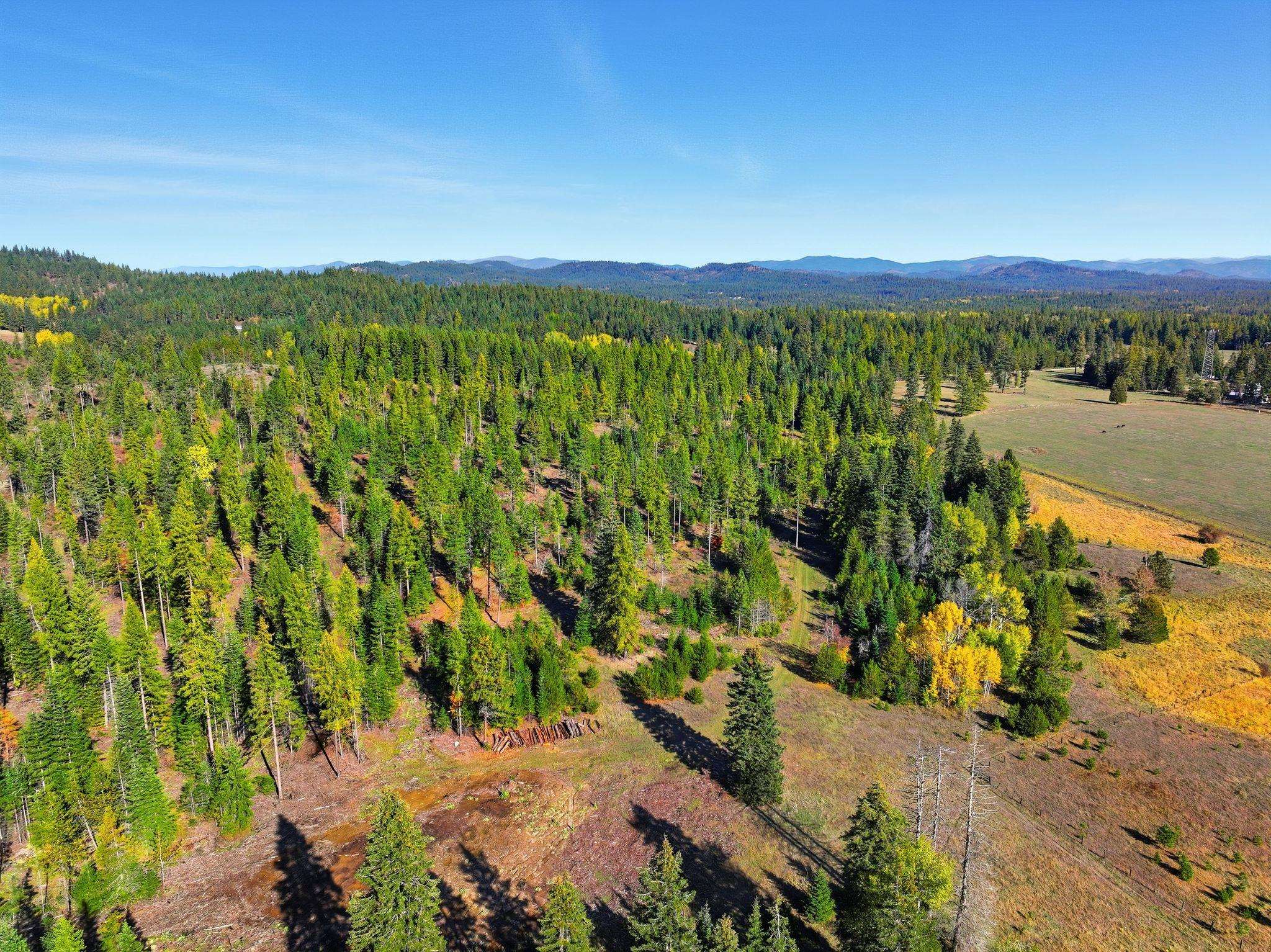 320871 Highway 2 - Photo 48