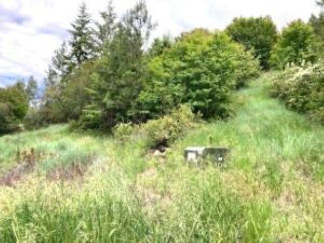 2051 WA-25 Hwy - Photo 17