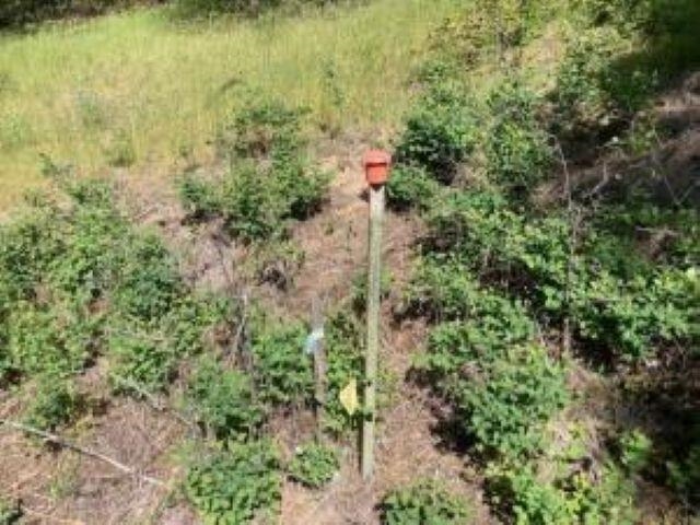 2051 WA-25 Hwy - Photo 21