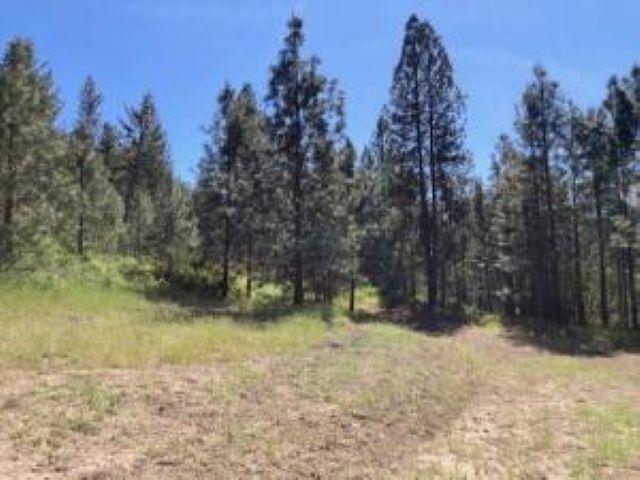 2051 WA-25 Hwy - Photo 27