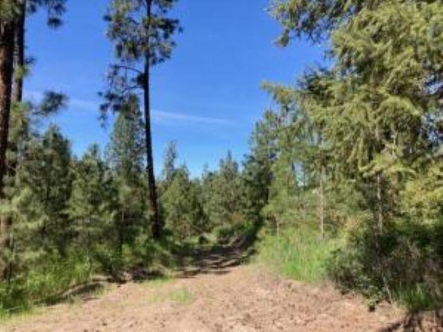 2051 WA-25 Hwy - Photo 29