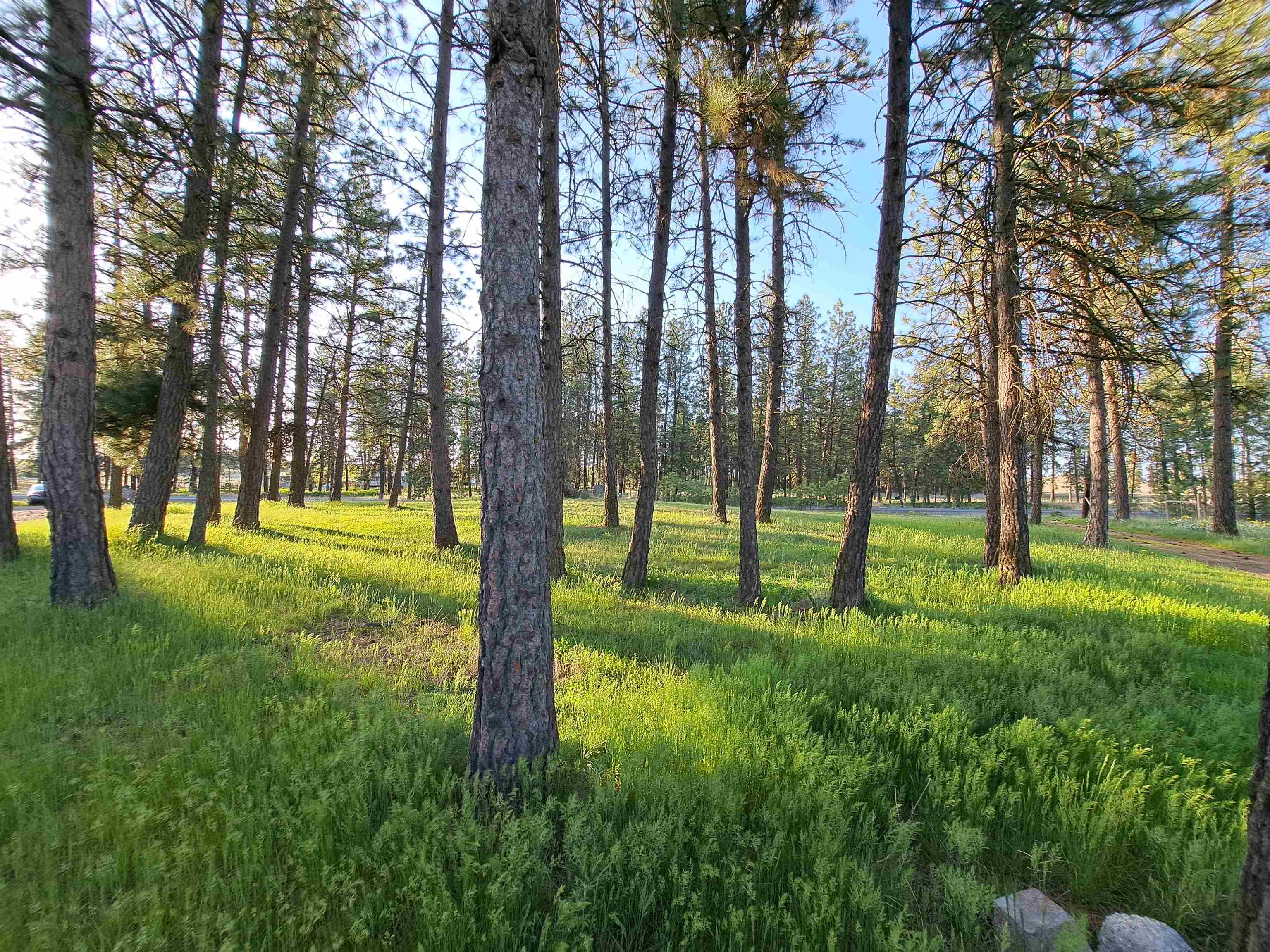 14313 W SR 904 Hwy - Photo 37