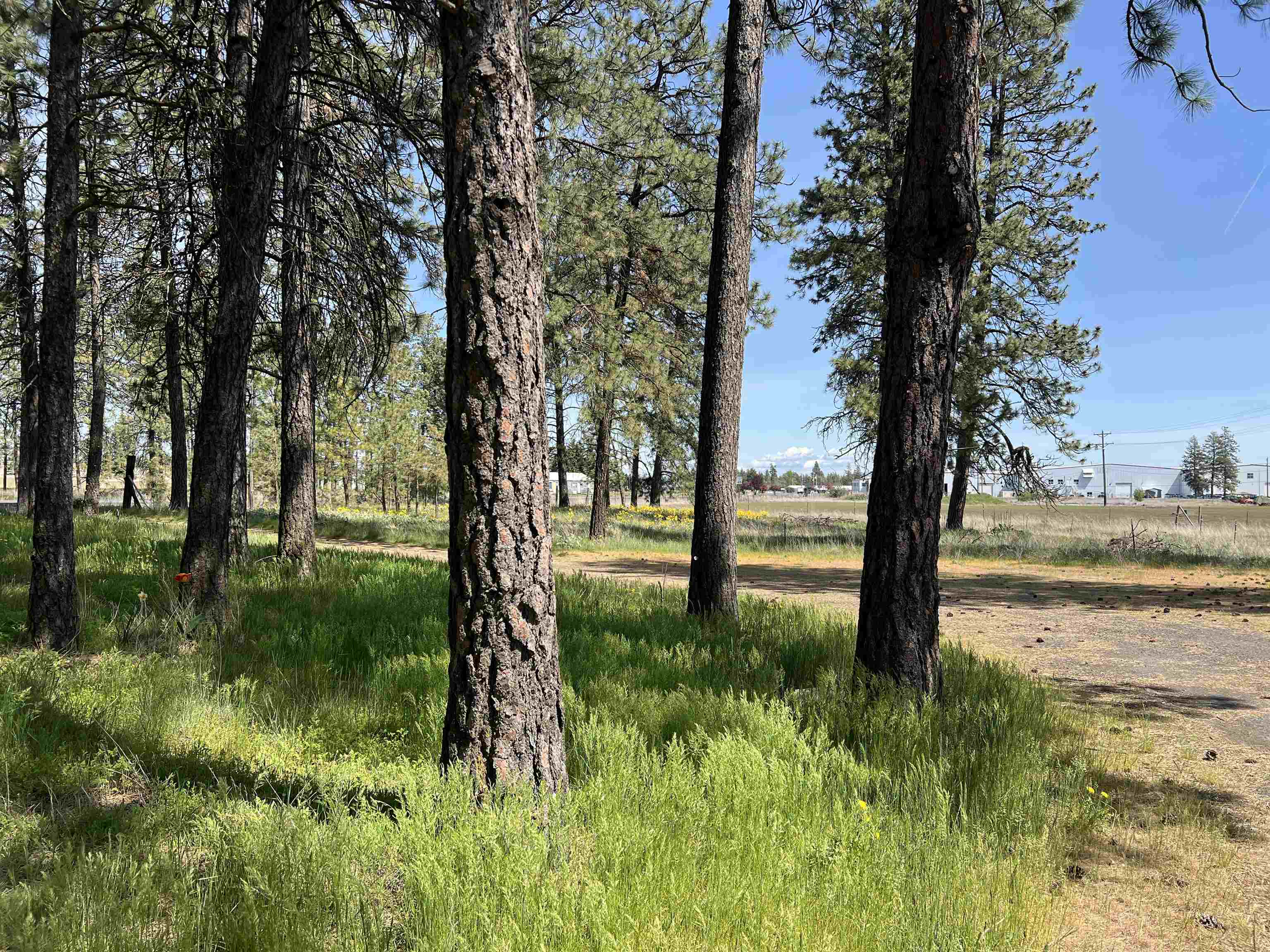 14313 W SR 904 Hwy - Photo 38
