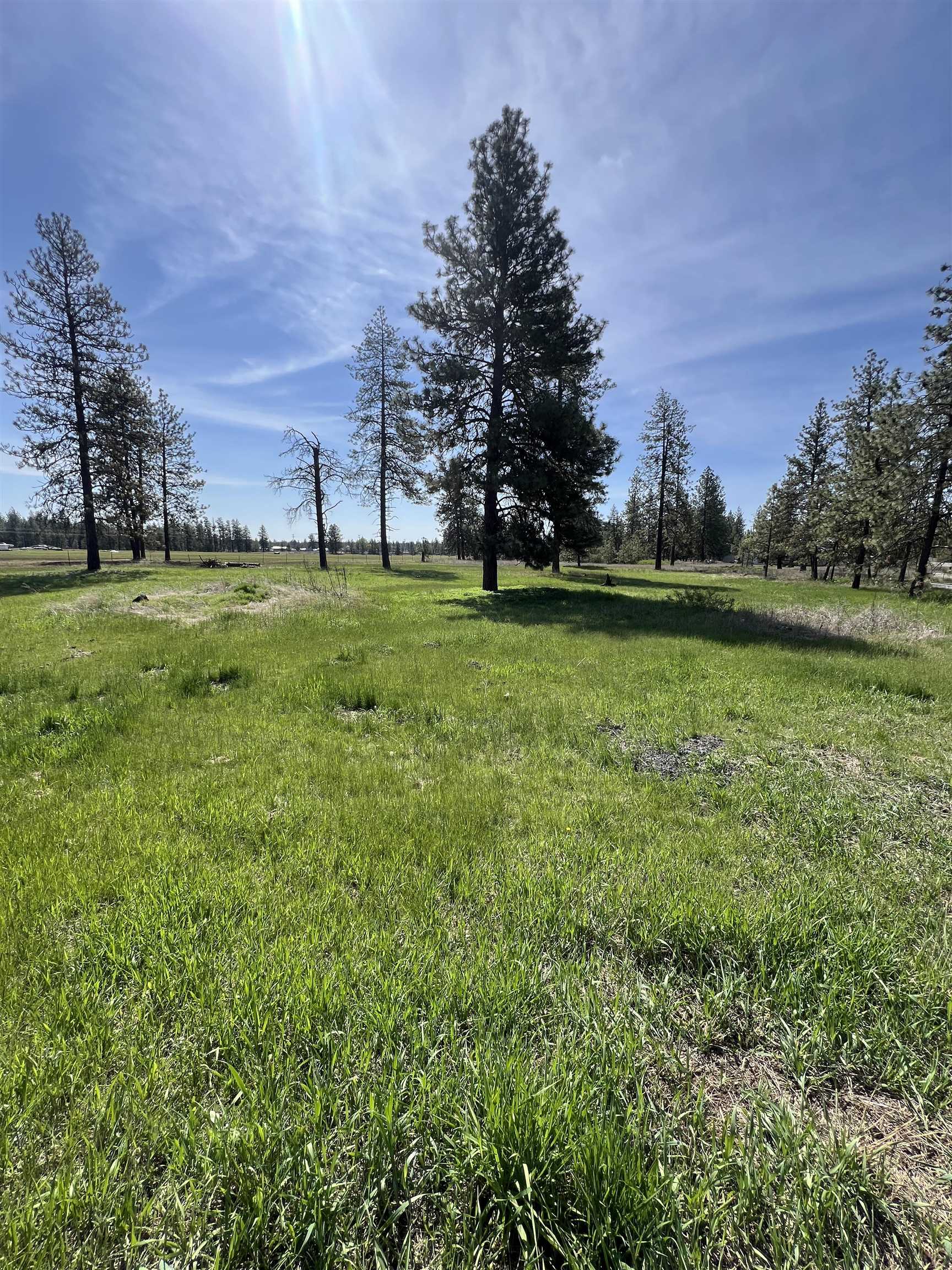 14313 W SR 904 Hwy - Photo 44