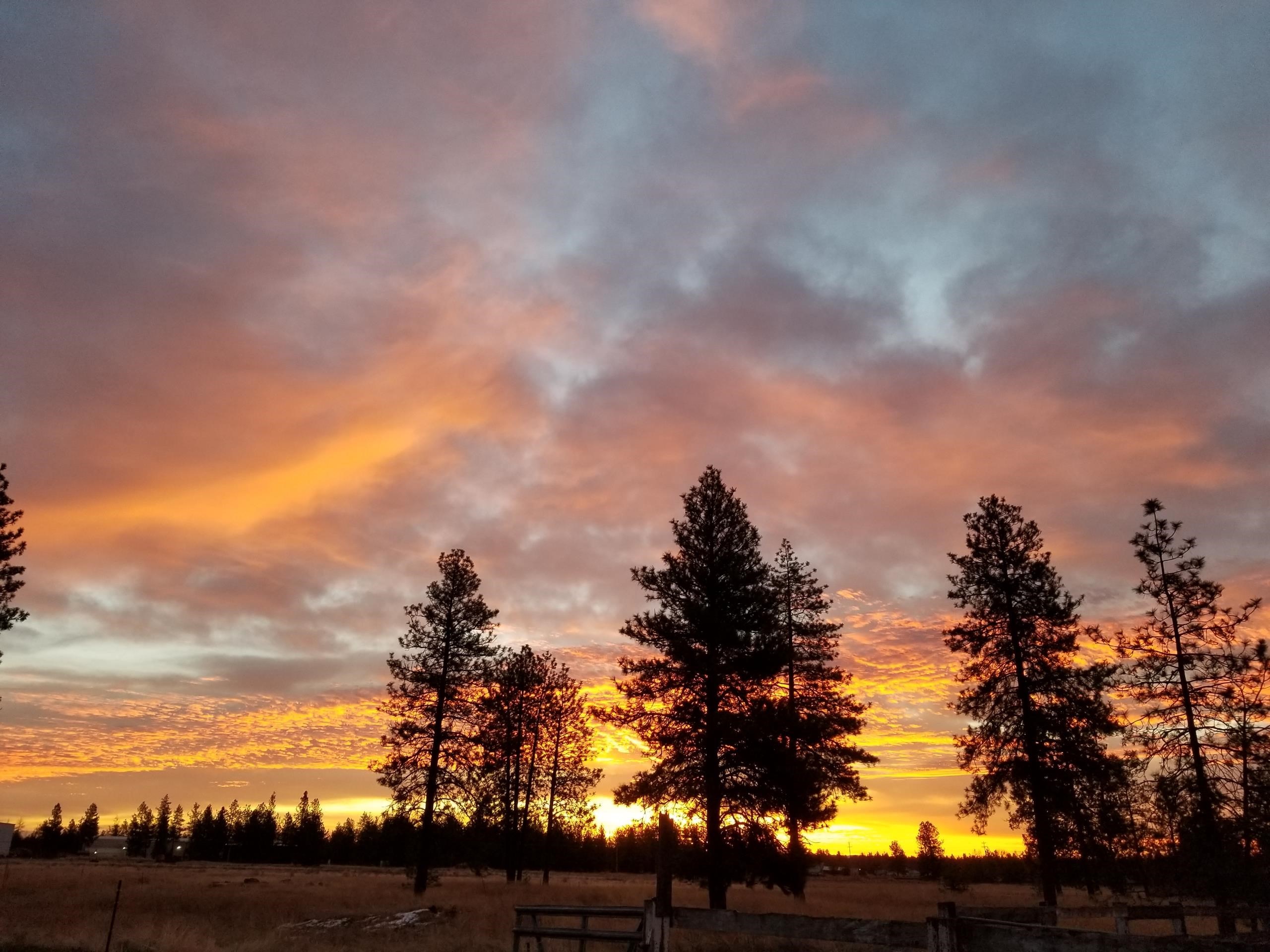 14313 W SR 904 Hwy - Photo 46