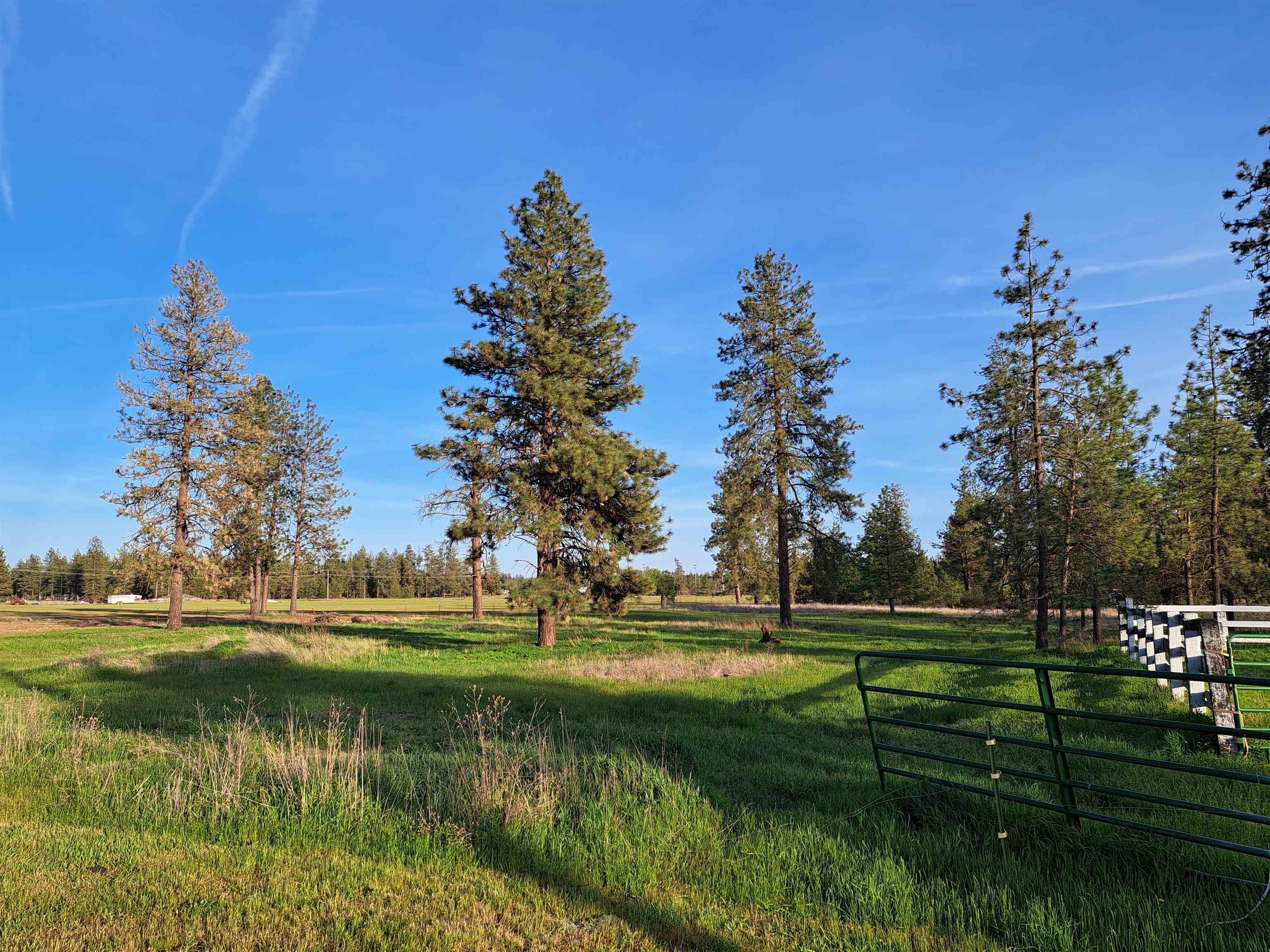 14313 W SR 904 Hwy - Photo 45