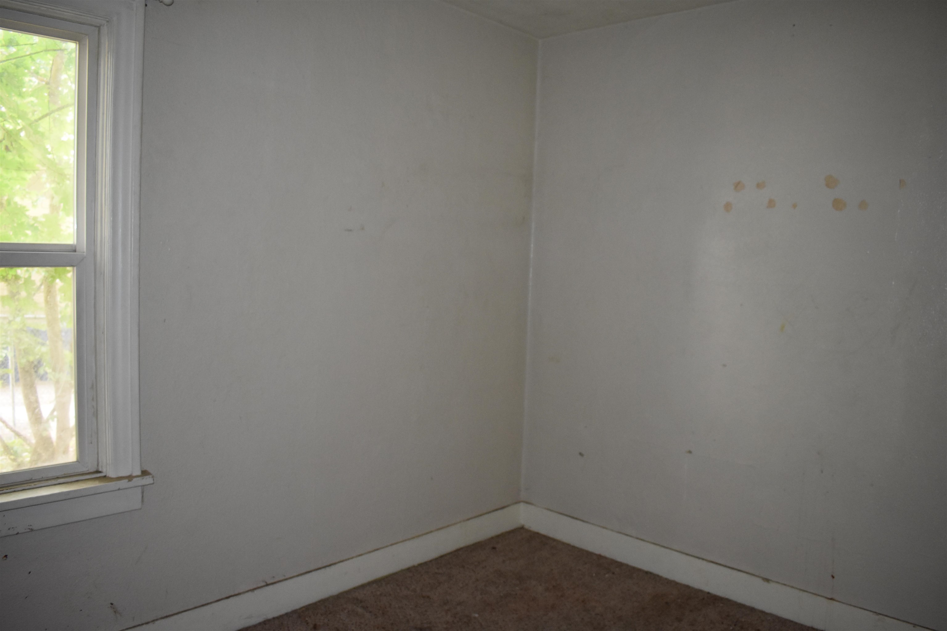 10115 N Whitworth Dr - Photo 14