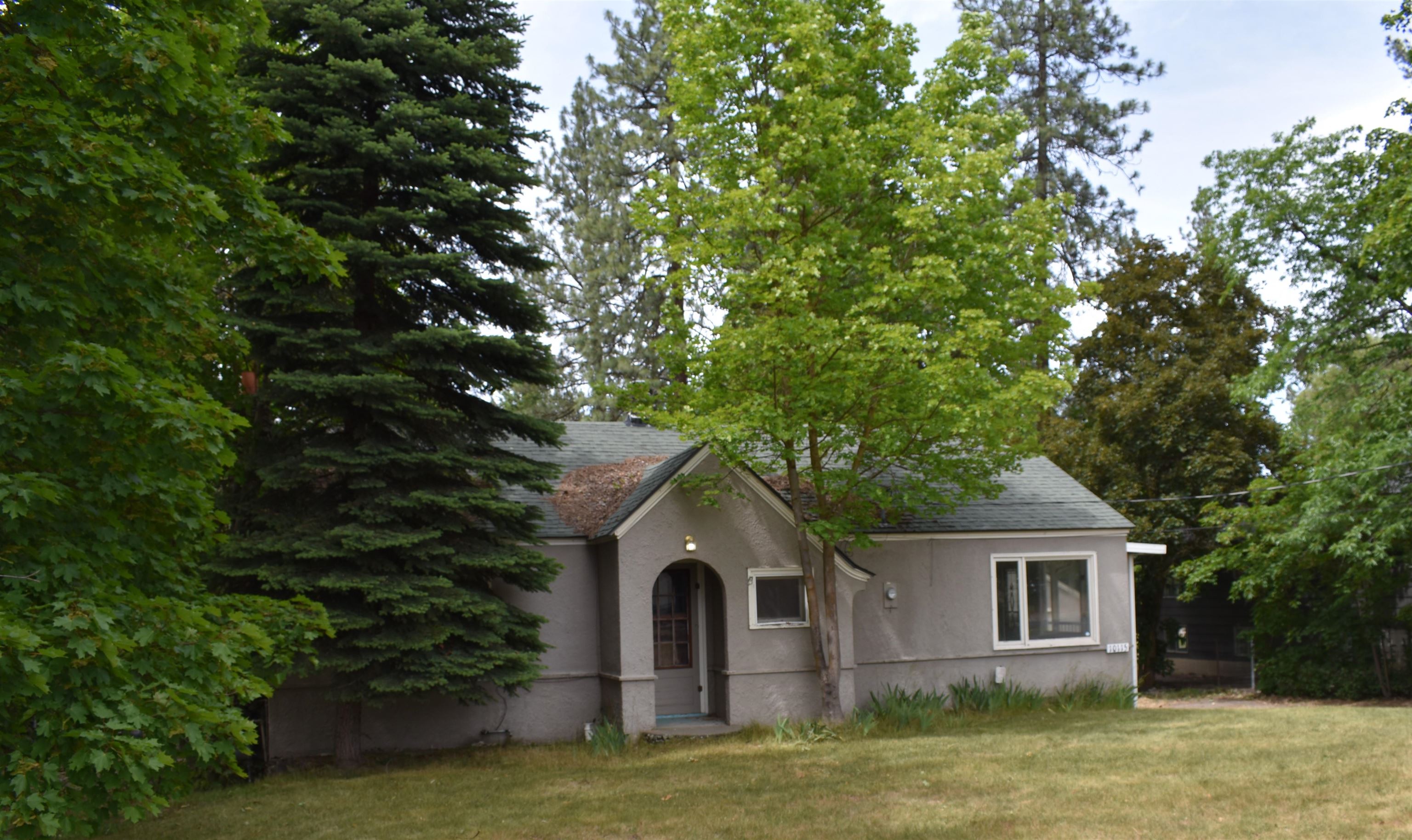 10115 N Whitworth Dr - Photo 1