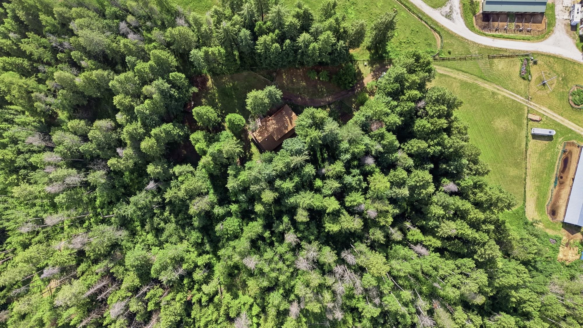 5155 C Casberg Burroughs Rd - Photo 44