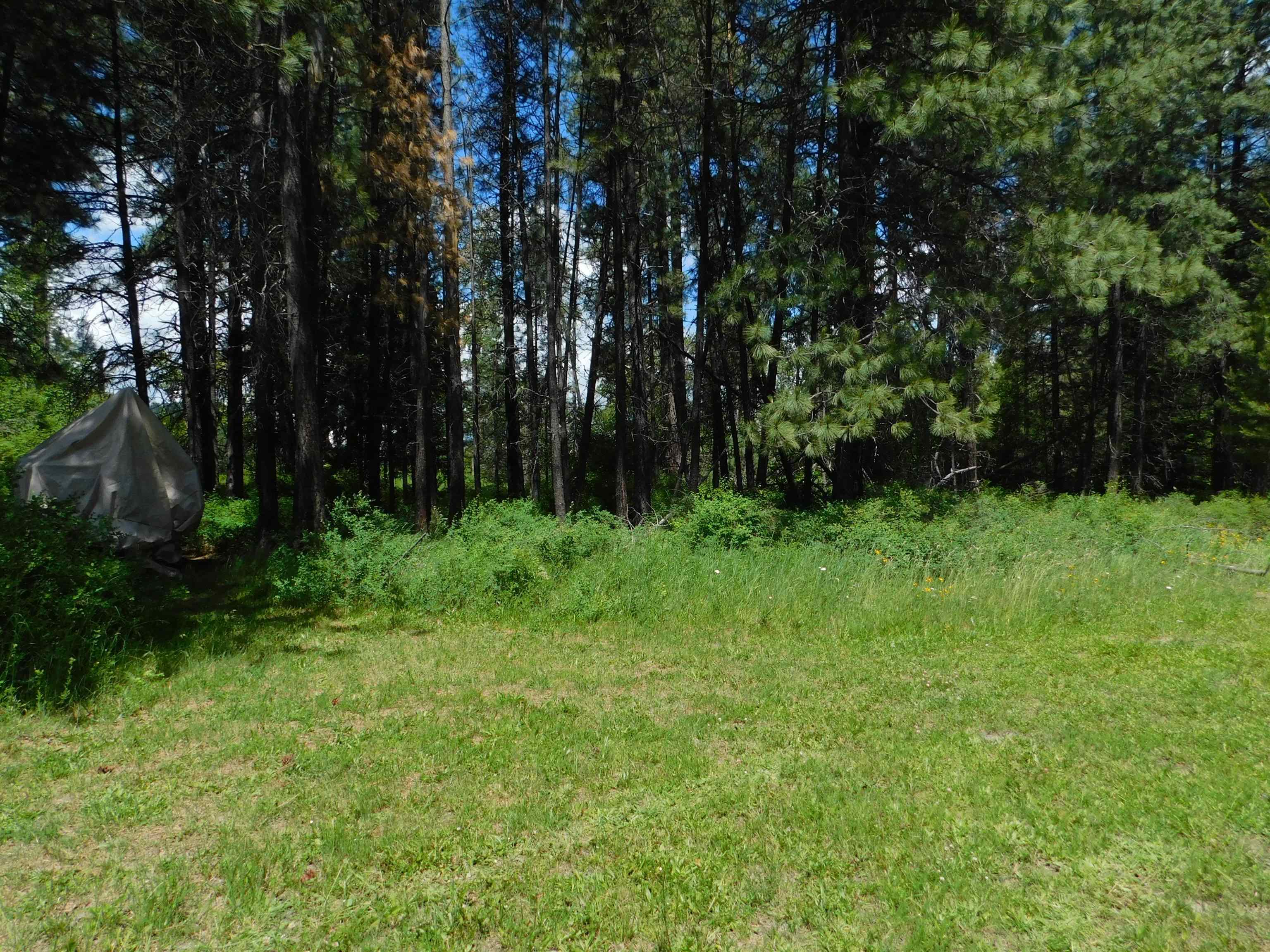 527 Dilling Dr - Photo 15