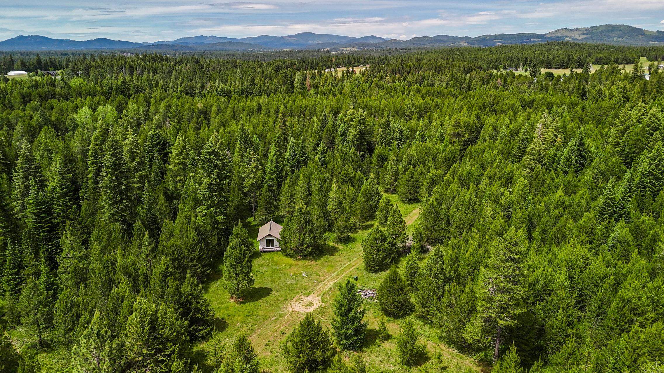 10XXX N Whispering Pines Ln - Photo 6