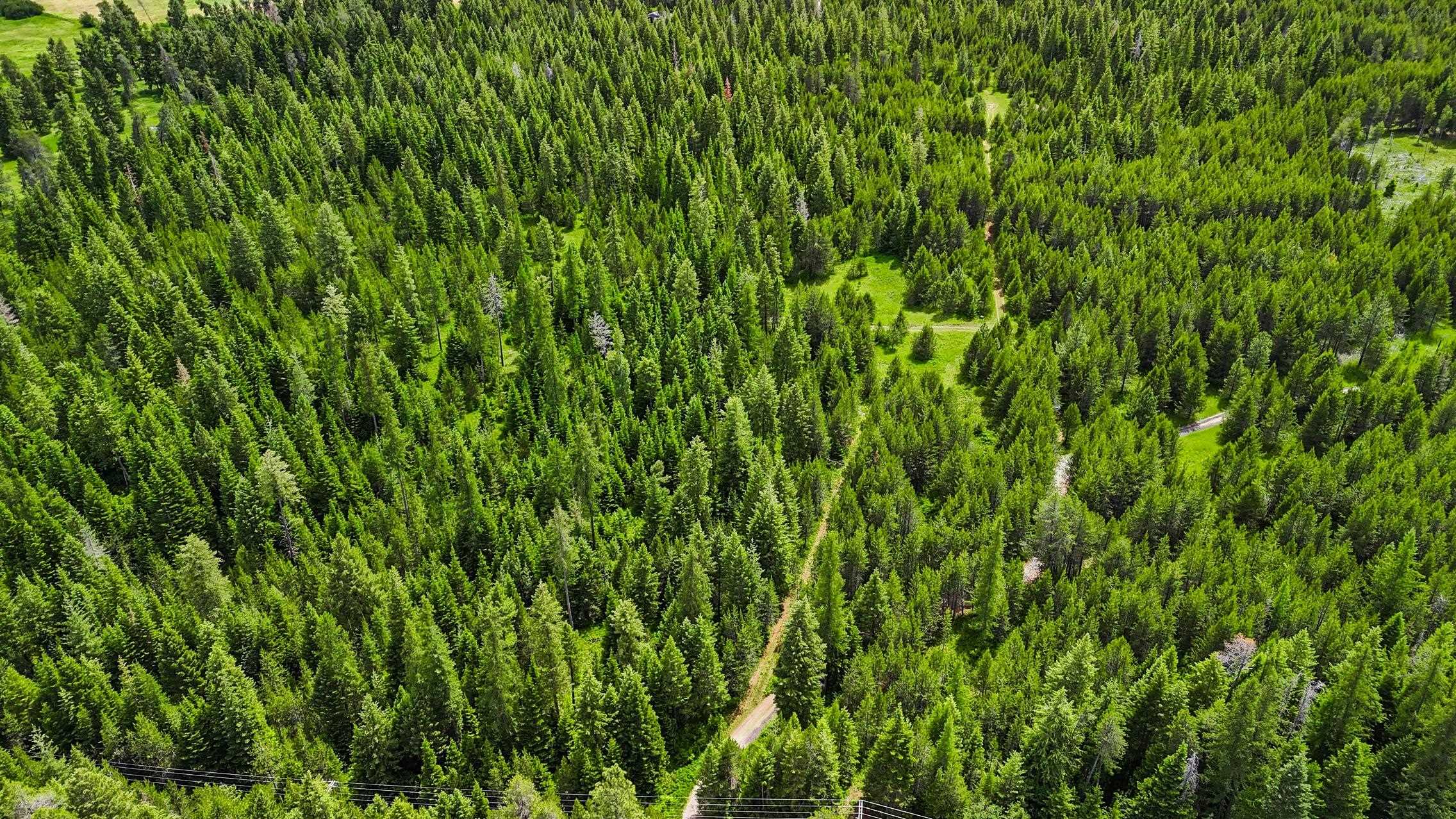 10XXX N Whispering Pines Ln - Photo 9