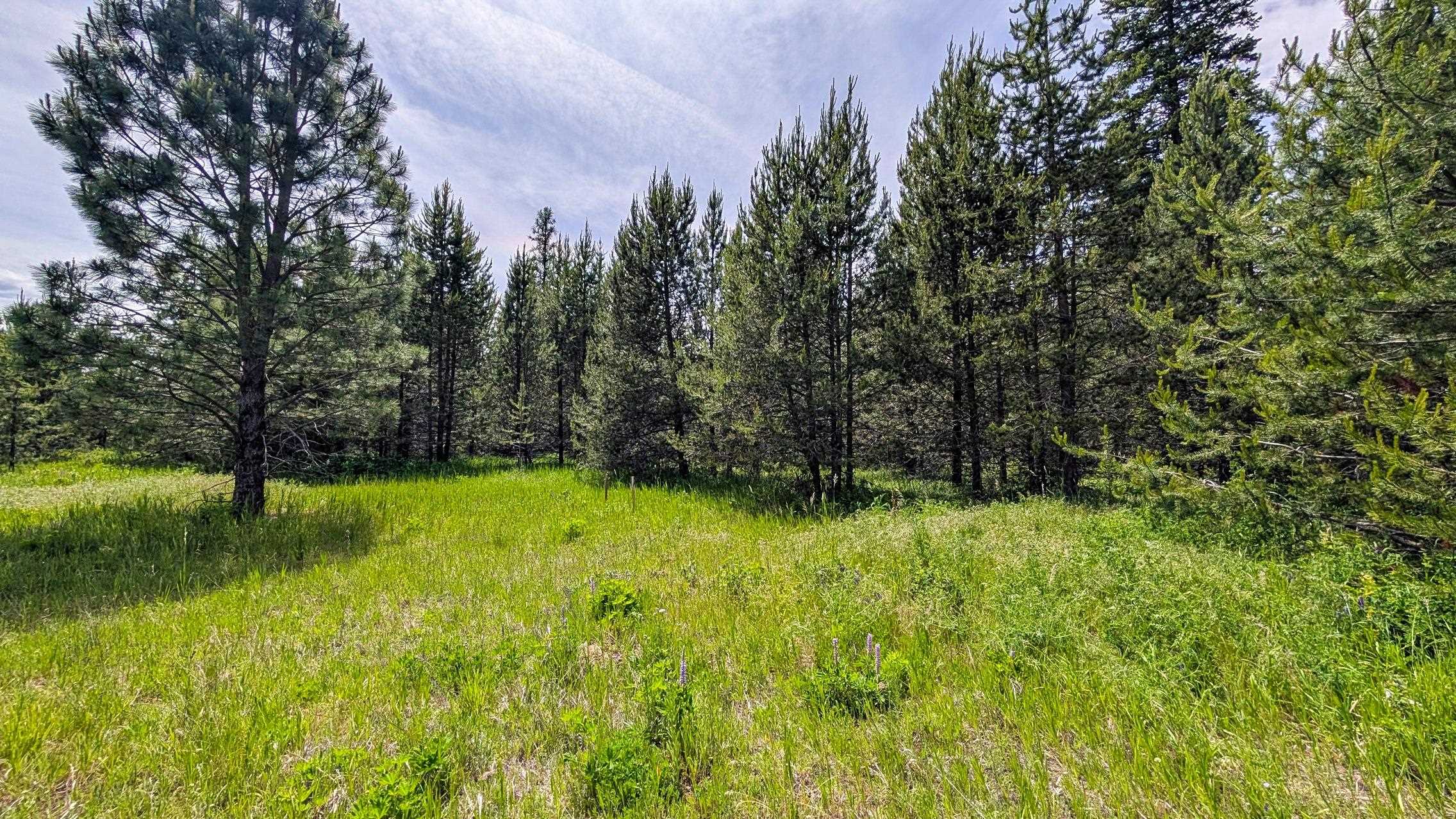 10XXX N Whispering Pines Ln - Photo 12