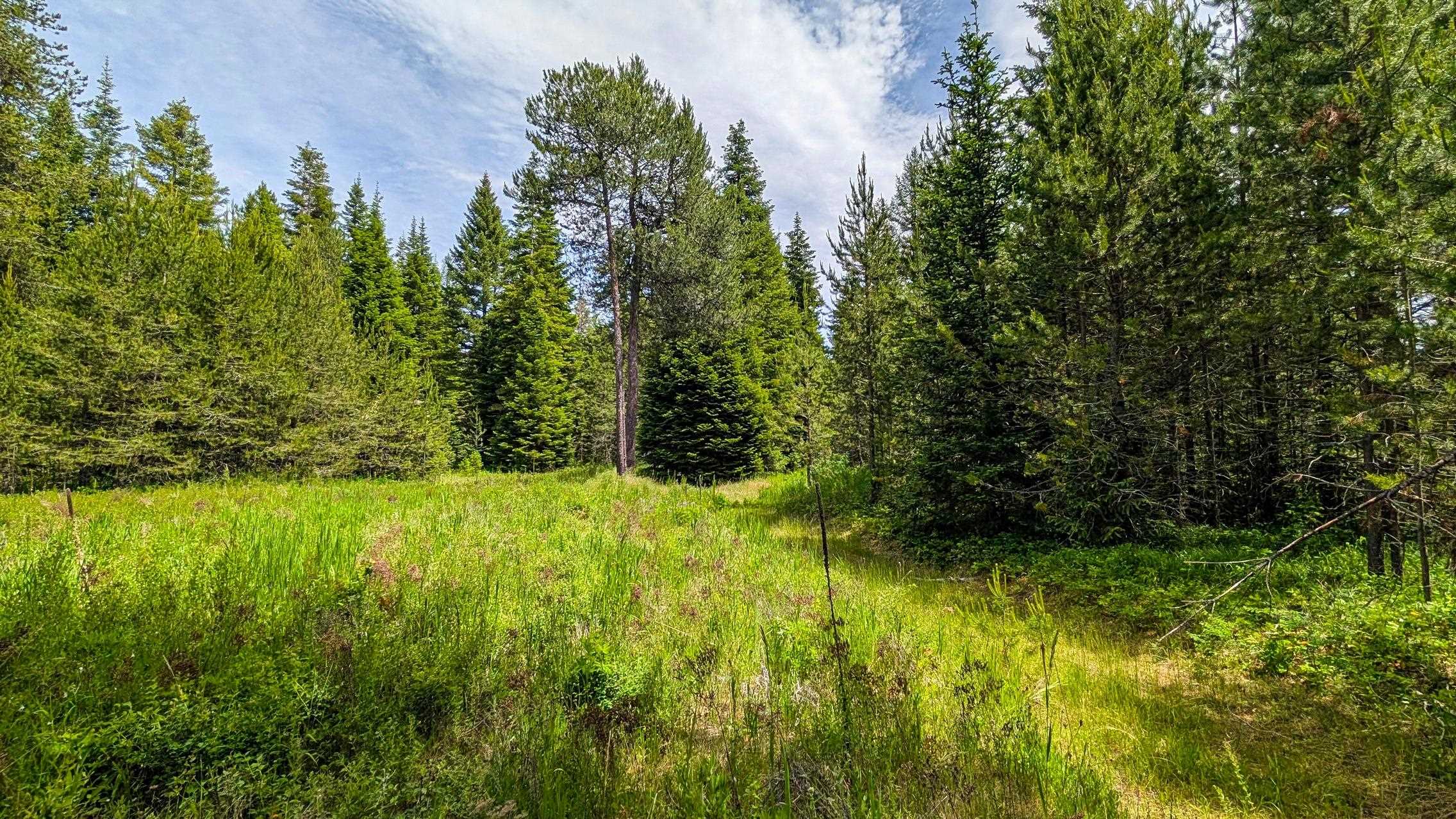 10XXX N Whispering Pines Ln - Photo 13