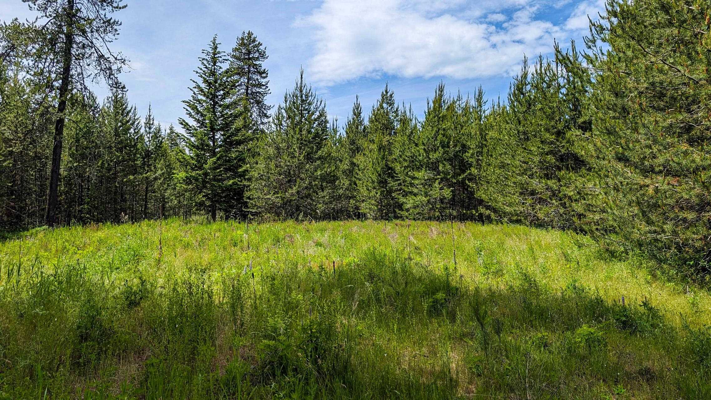 10XXX N Whispering Pines Ln - Photo 14