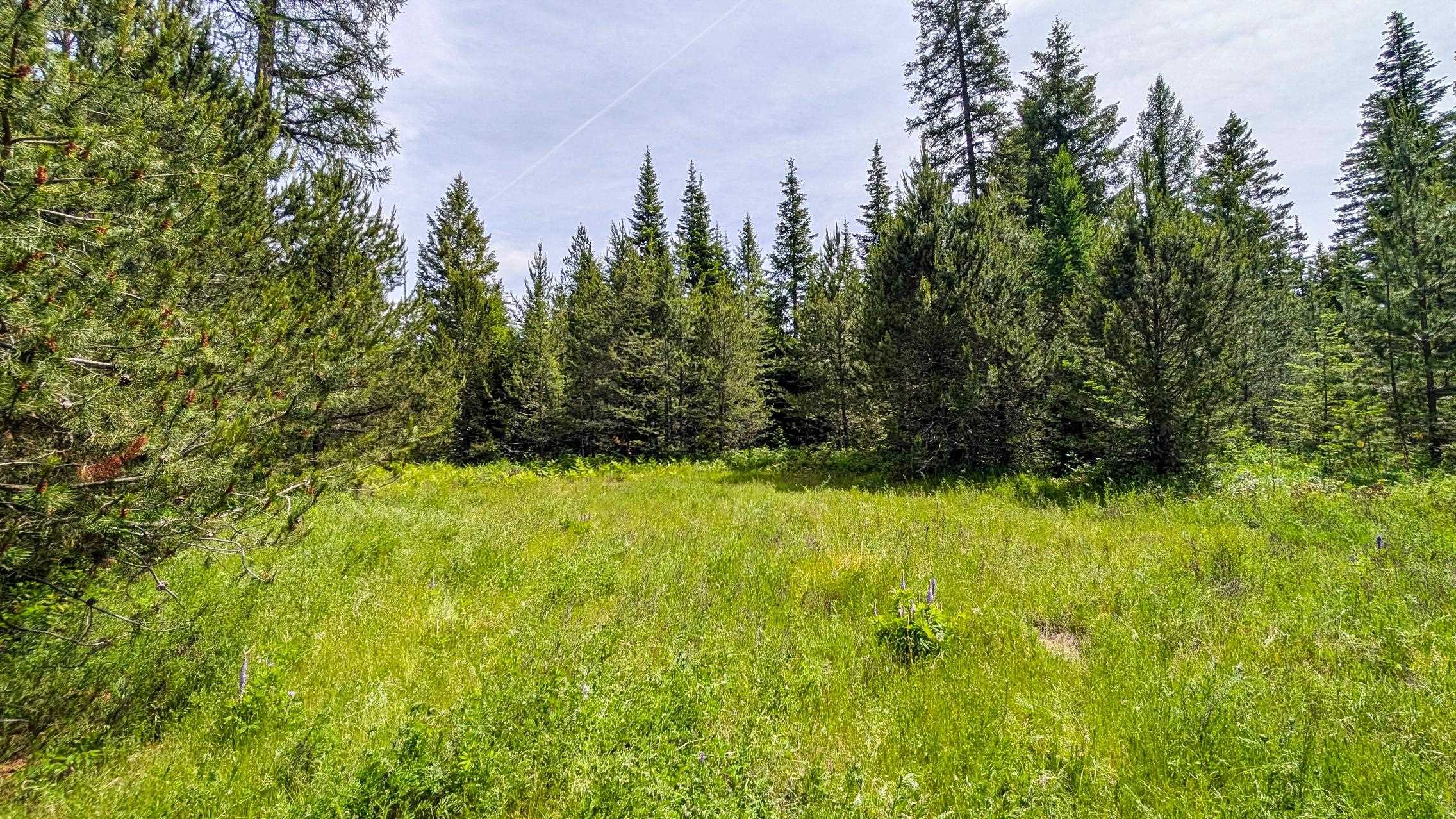 10XXX N Whispering Pines Ln - Photo 15