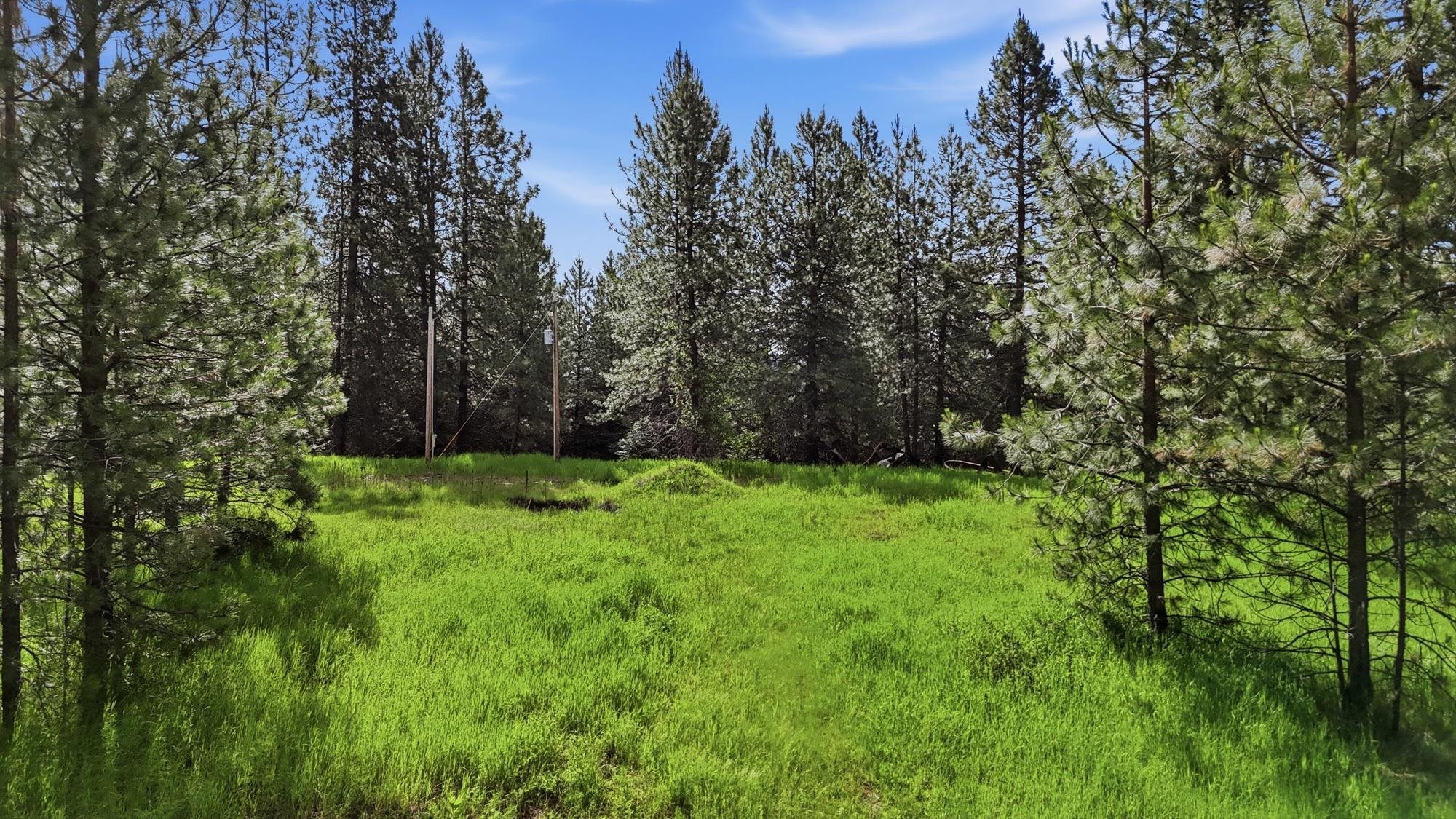 22720 N Travis Rd - Photo 4