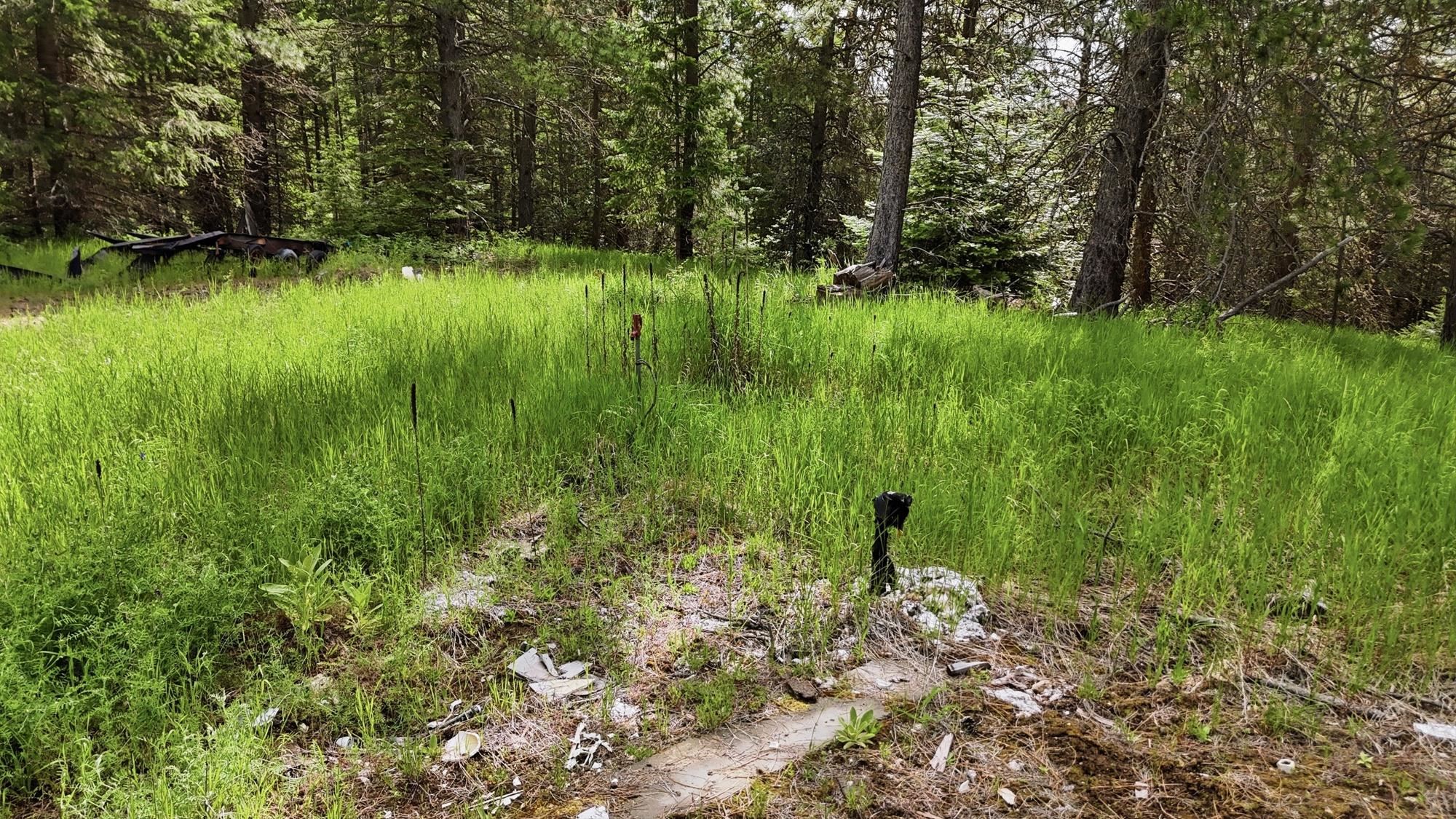 22720 N Travis Rd - Photo 5