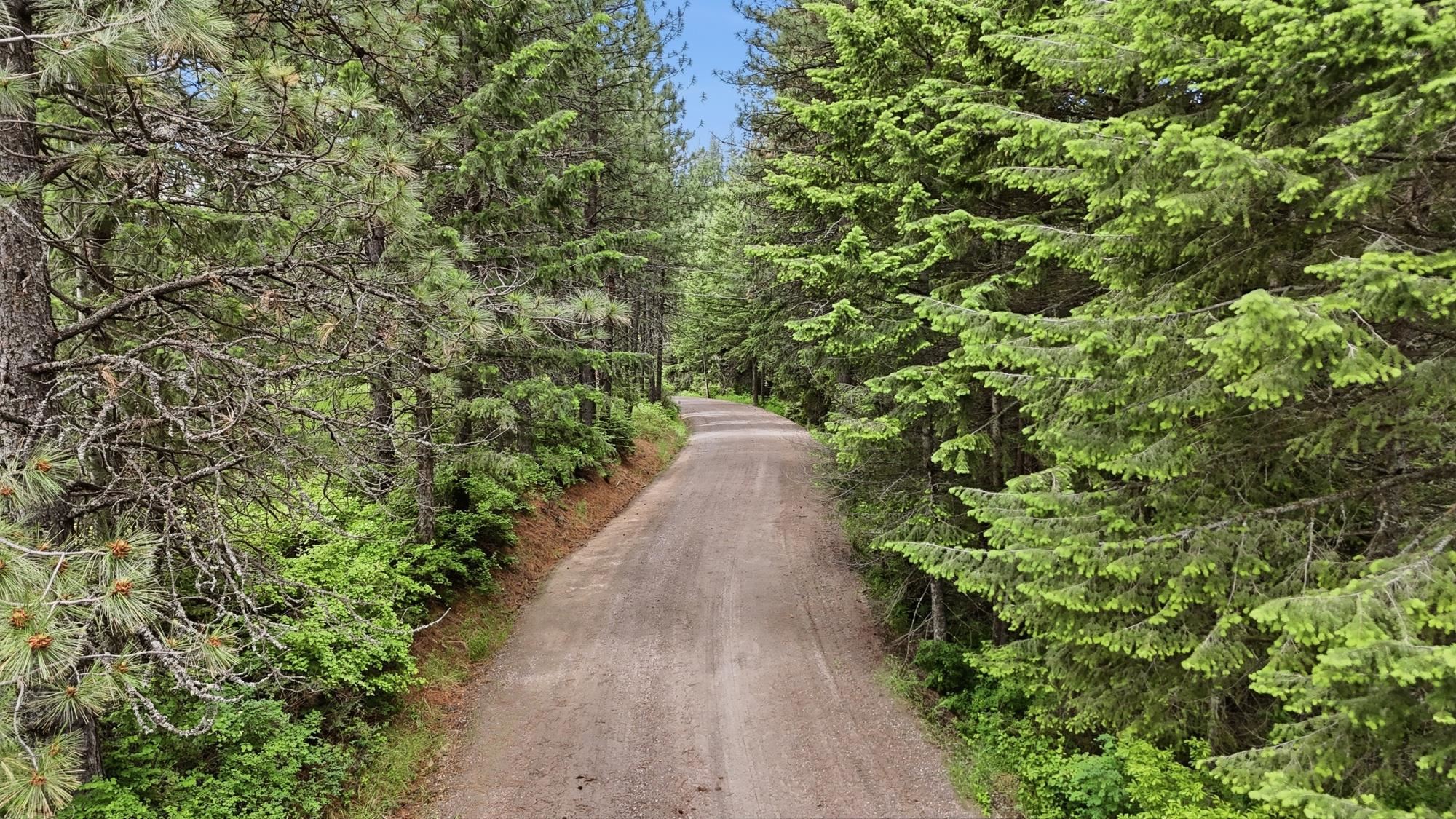 NNA N Travis Rd - Photo 1