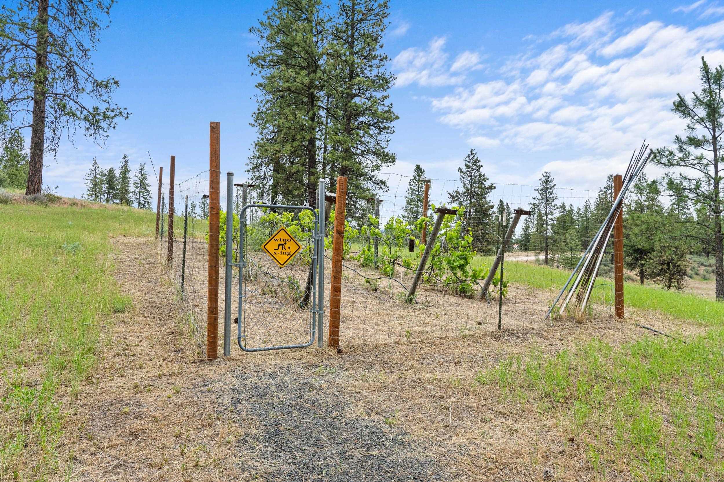 40048 E Cayuse Cove Rd - Photo 33