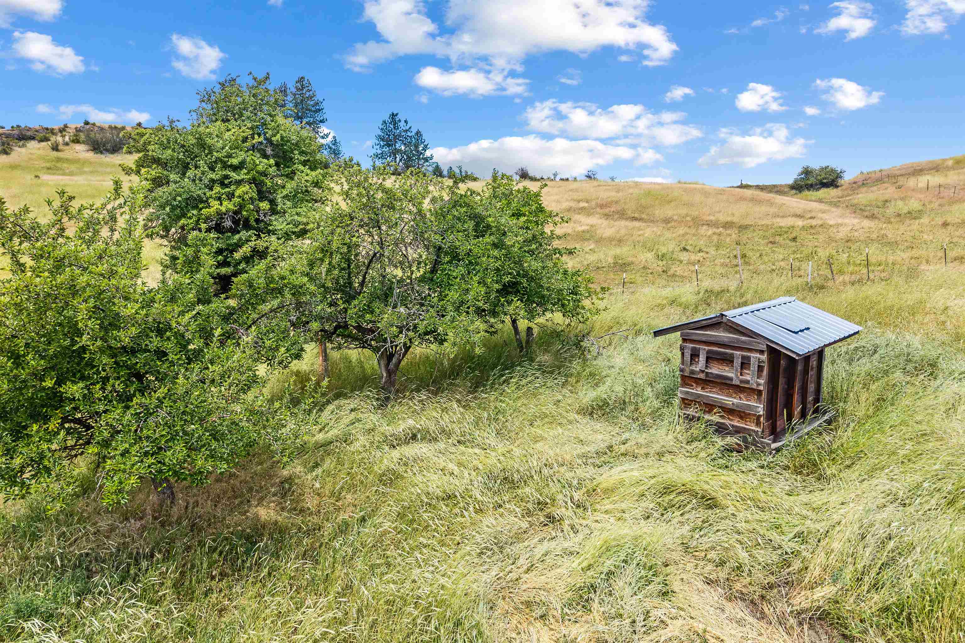 4925 Melin Rd - Photo 43