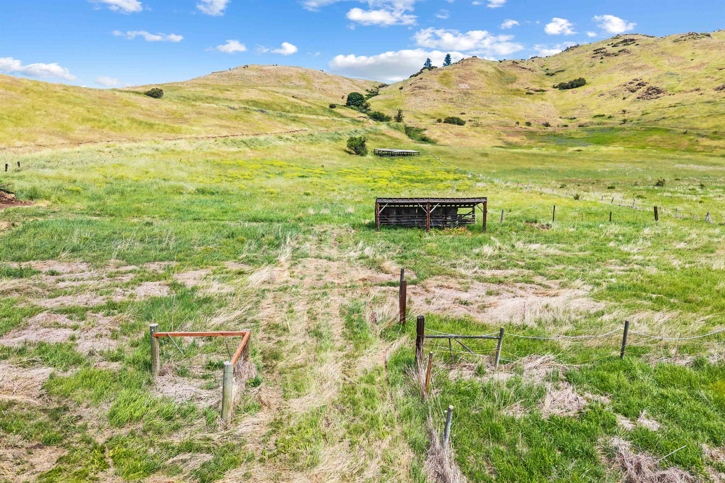 4925 Melin Rd - Photo 45