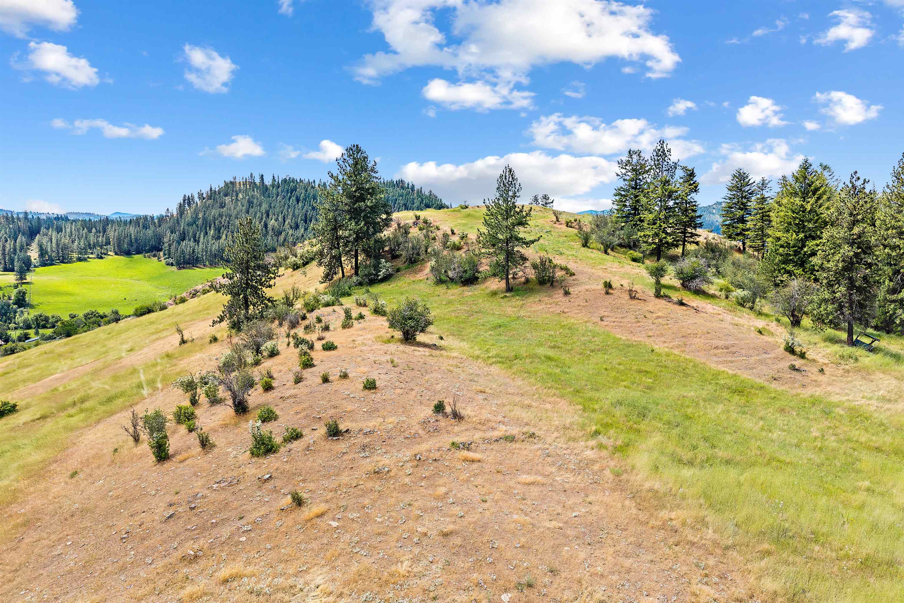 4925 Melin Rd - Photo 49