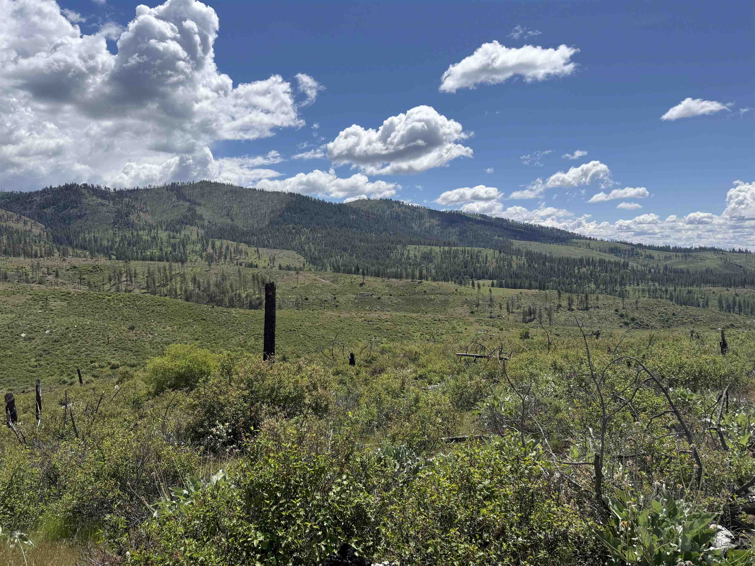 TBD Coyote Canyon Rd - Photo 1