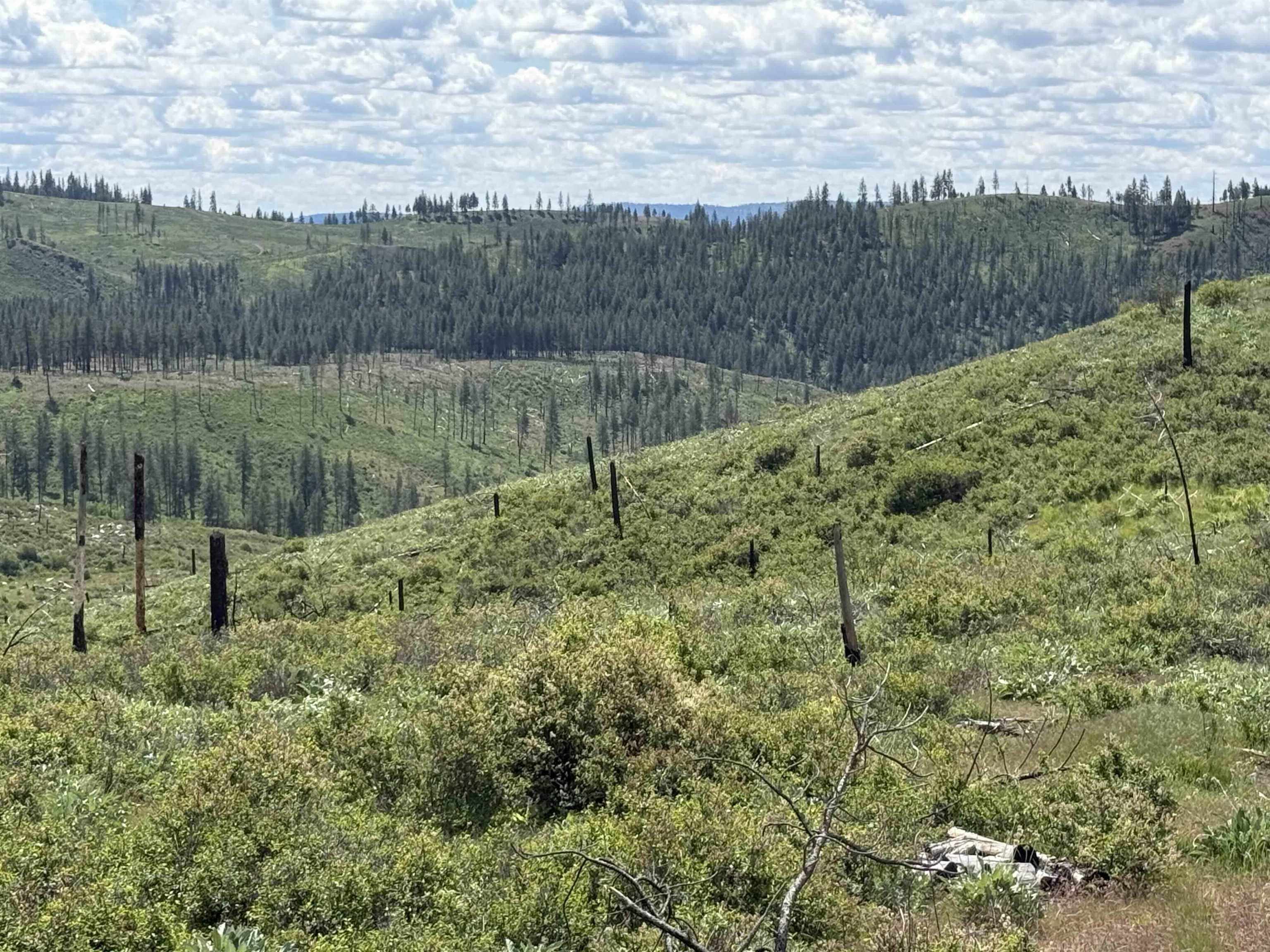 TBD Coyote Canyon Rd - Photo 6
