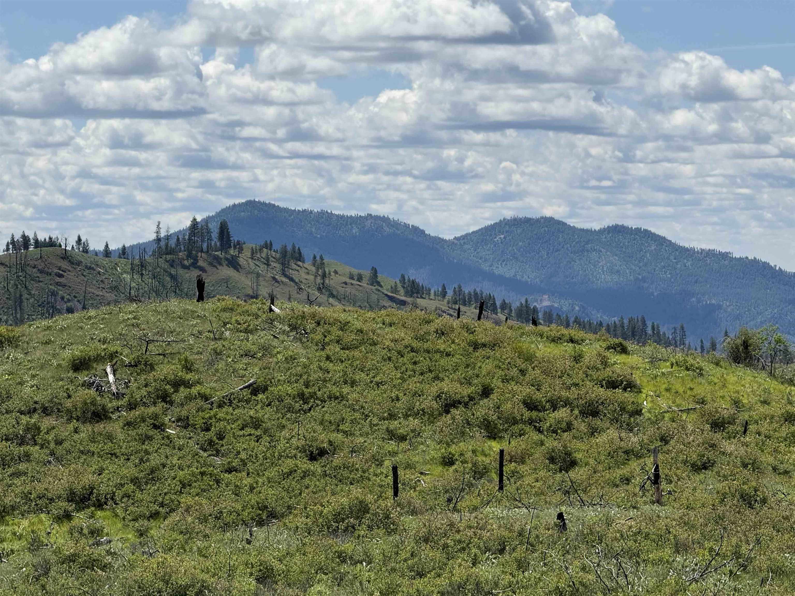 TBD Coyote Canyon Rd - Photo 8