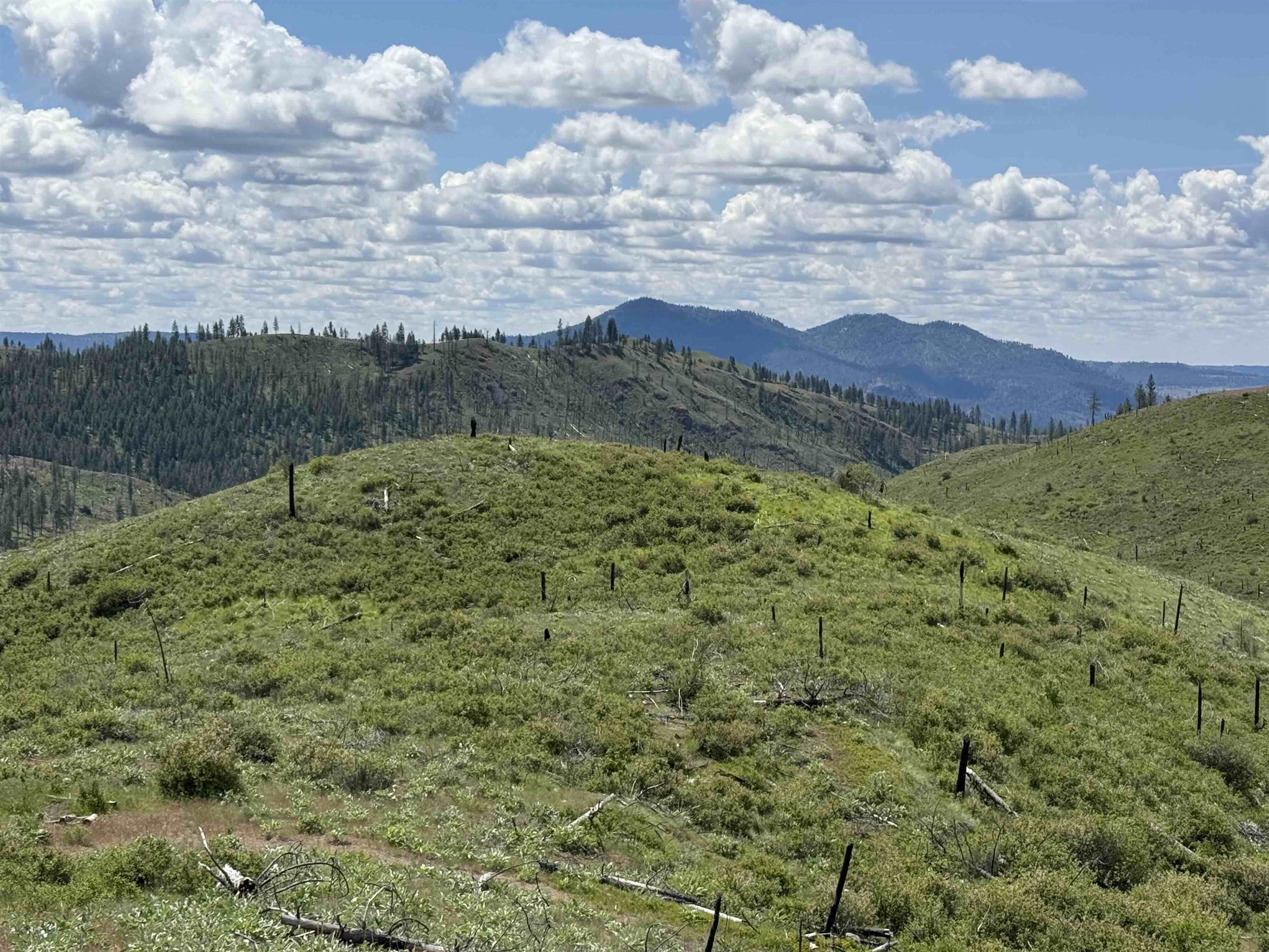 TBD Coyote Canyon Rd - Photo 9