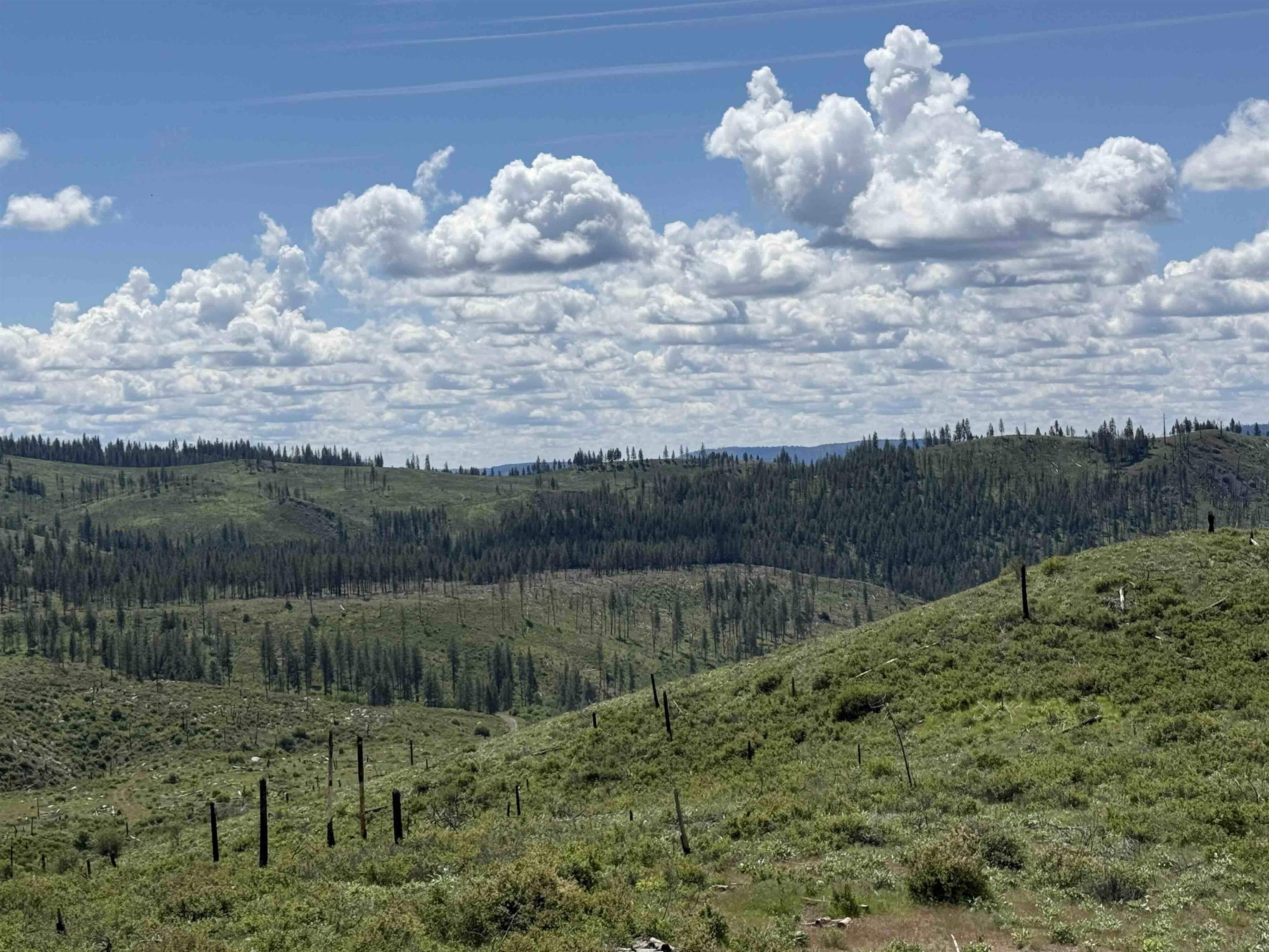 TBD Coyote Canyon Rd - Photo 10
