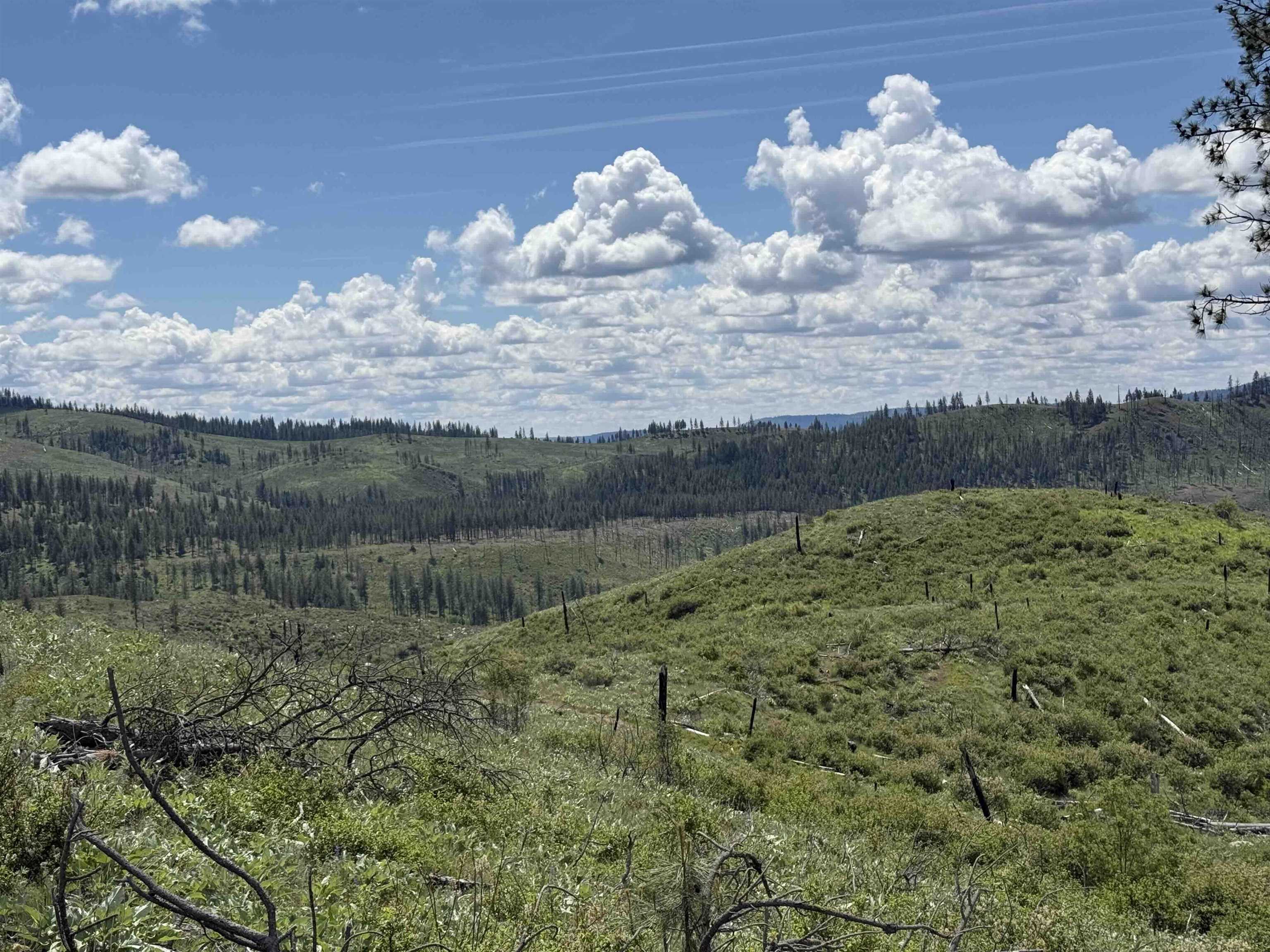 TBD Coyote Canyon Rd - Photo 12
