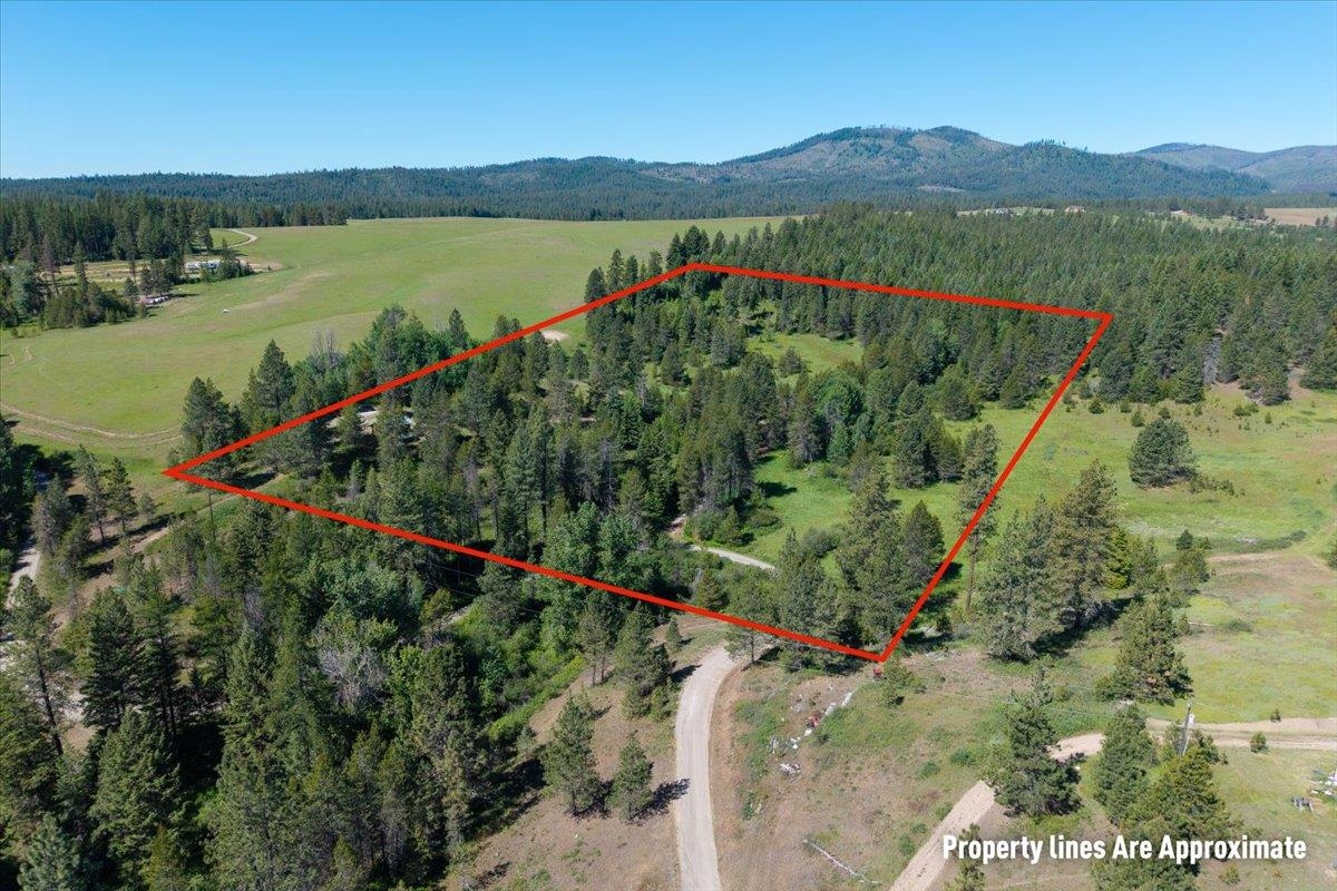 5099 L Allen Rd - Photo 29
