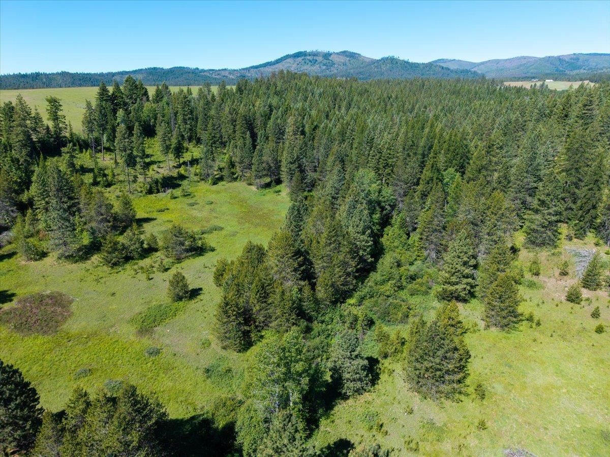 5099 L Allen Rd - Photo 33