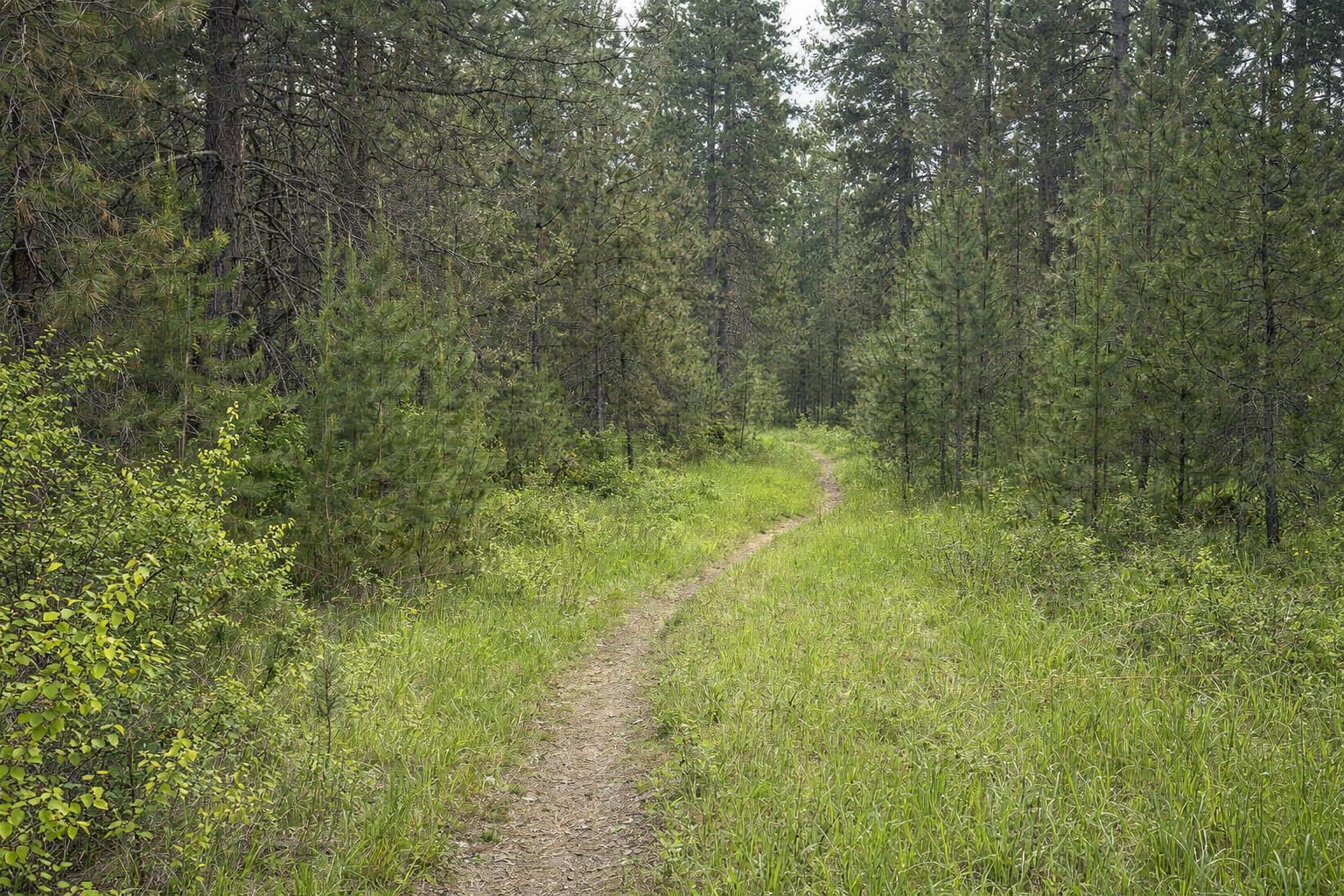 3219 W Packmule Ln - Photo 44