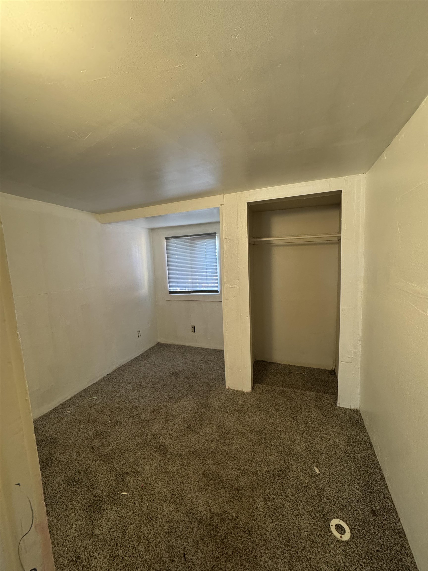 1815 N Adams St - Photo 10
