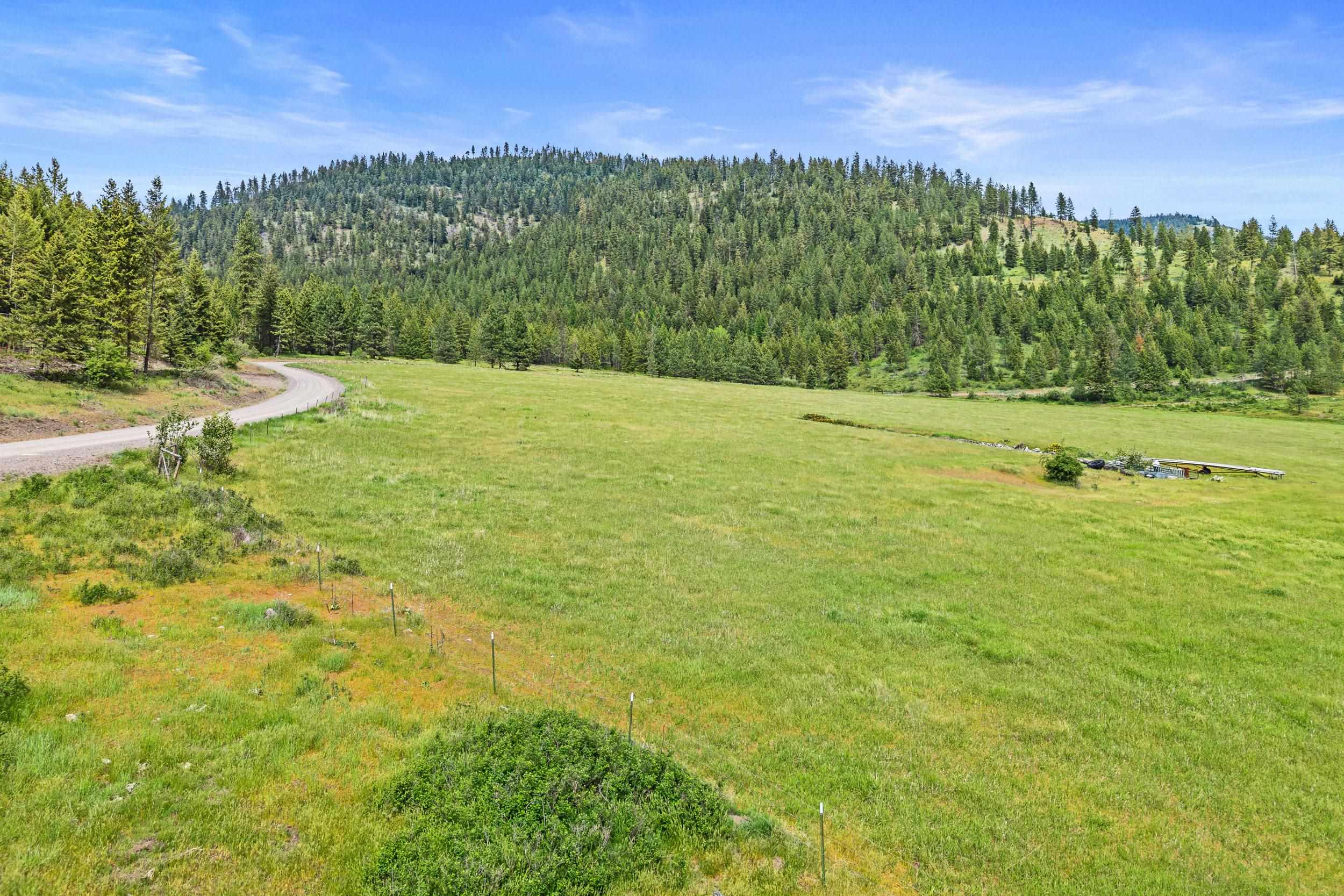 311X Old Baldy Rd - Photo 2