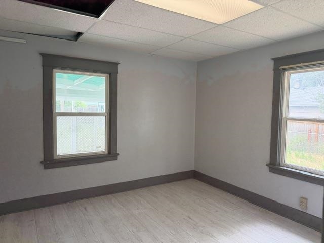 2303 W Jackson Ave - Photo 8