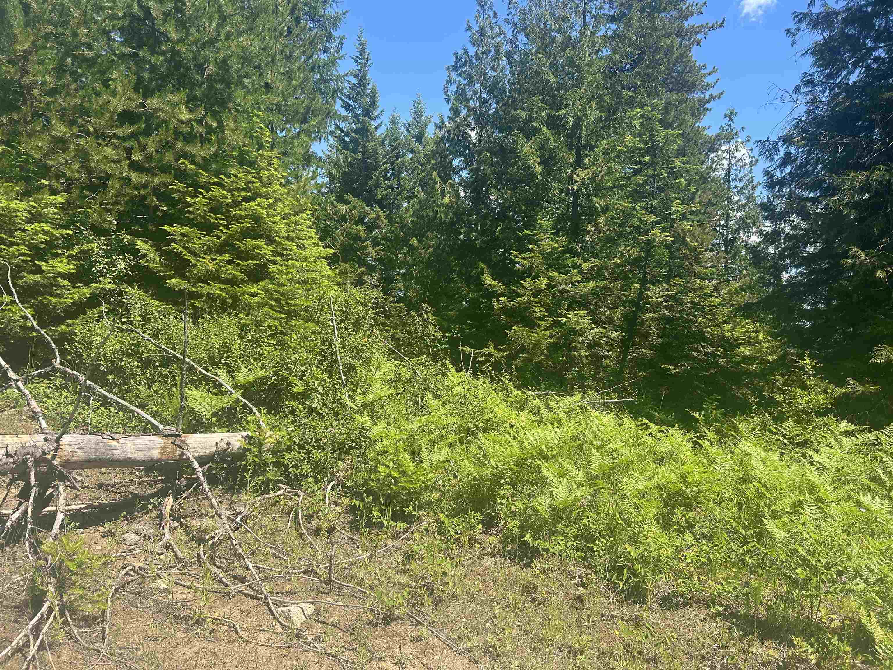 00 N Foster Ln - Photo 5