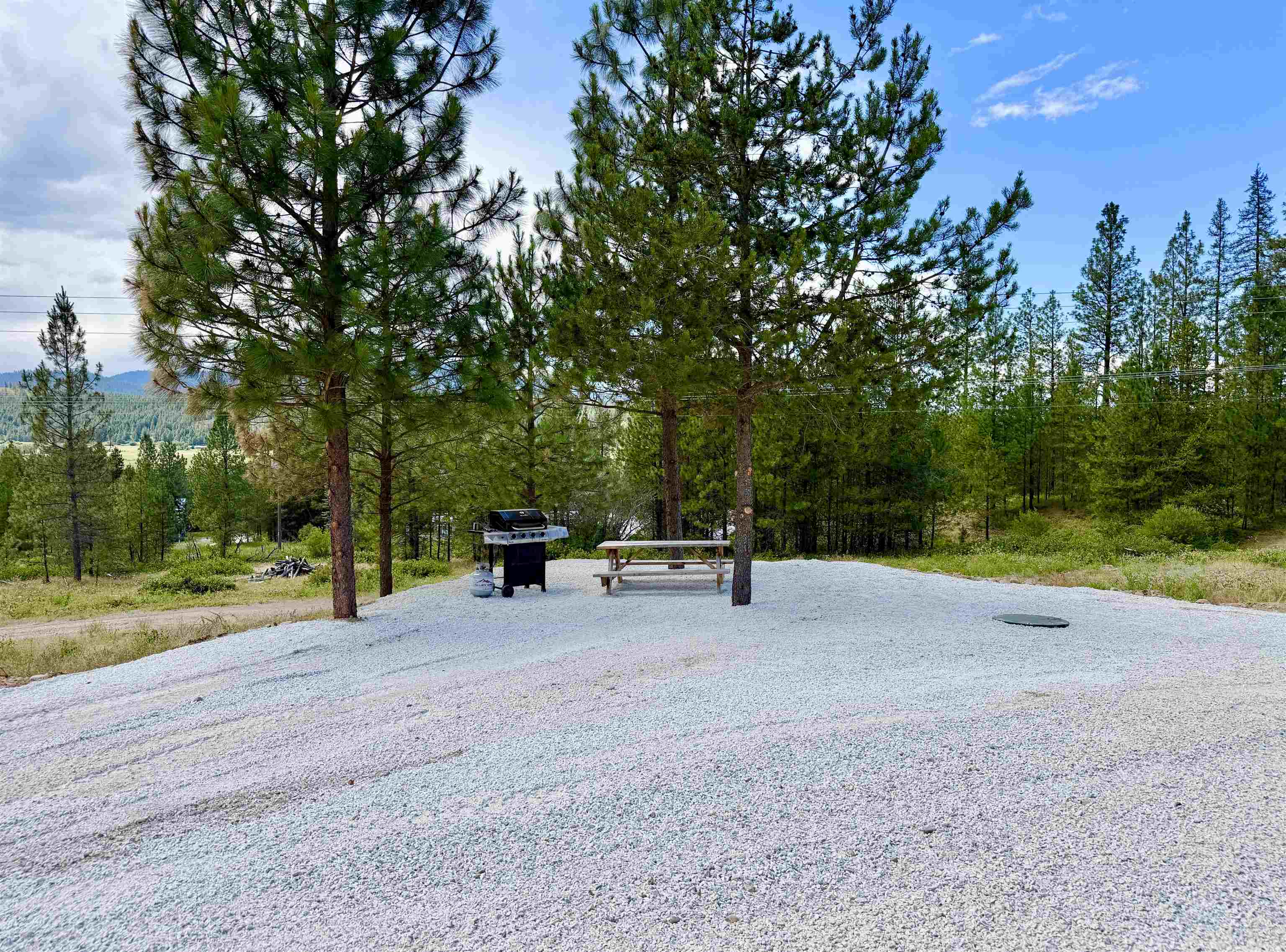 3329 D HWY 231 Hwy - Photo 37