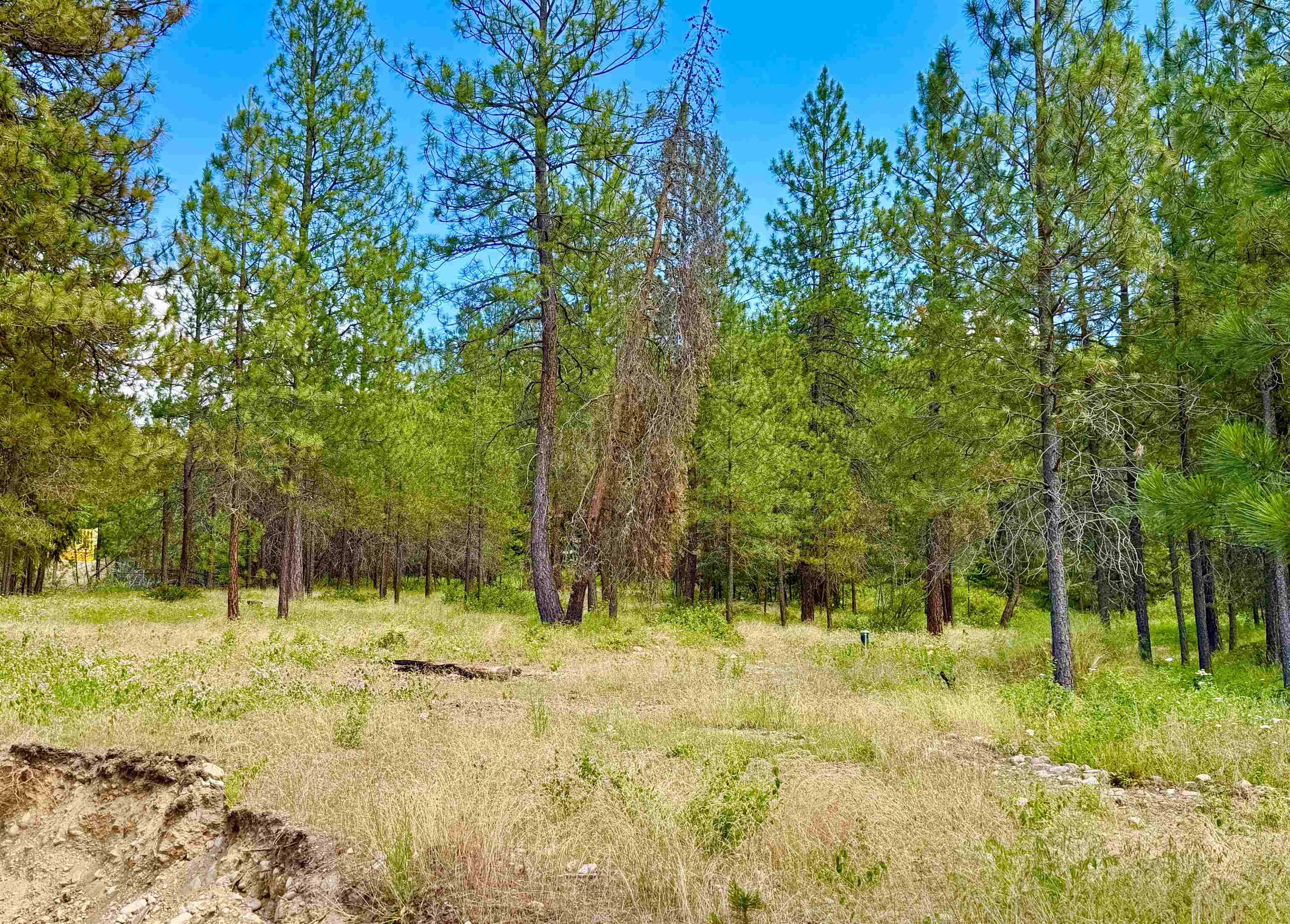 3329 D HWY 231 Hwy - Photo 40