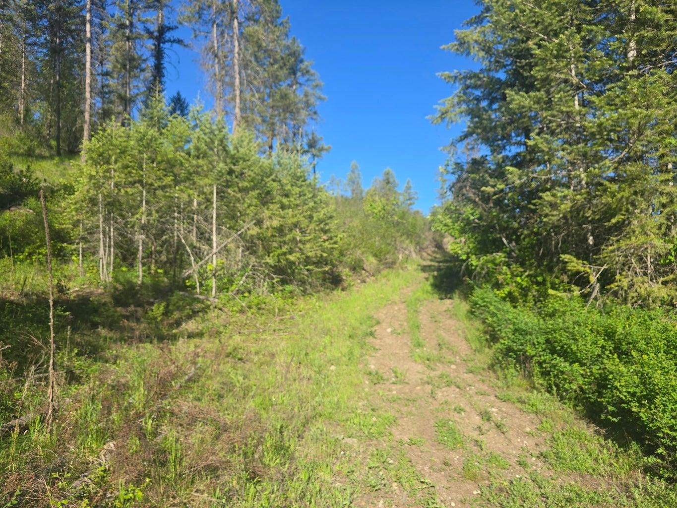 564 Crown Ridge Way - Photo 3