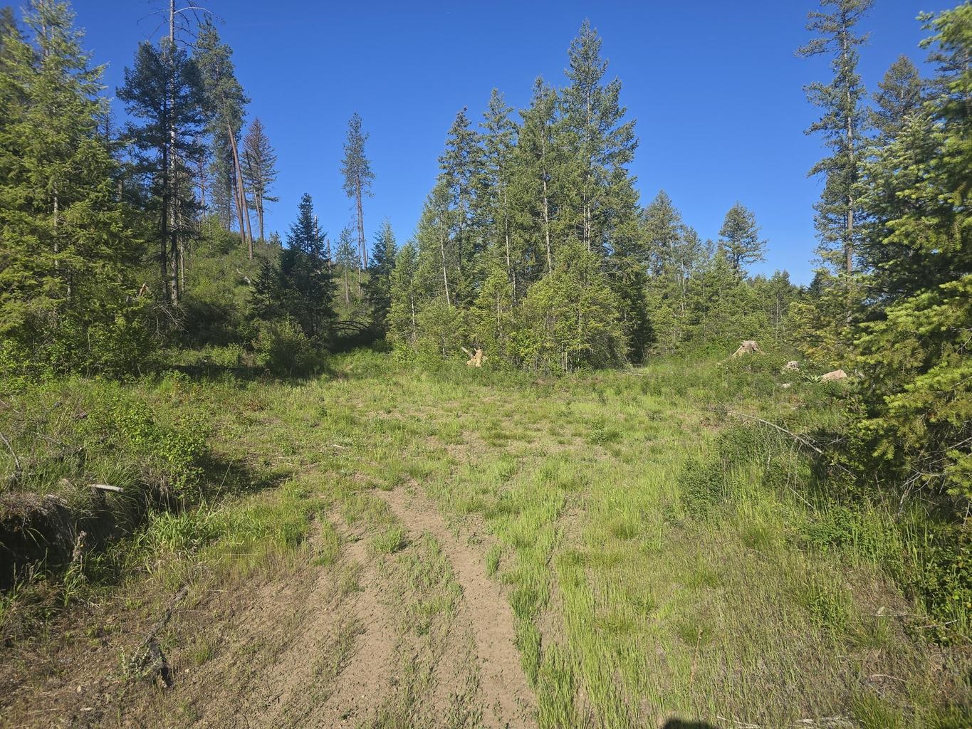564 Crown Ridge Way - Photo 4